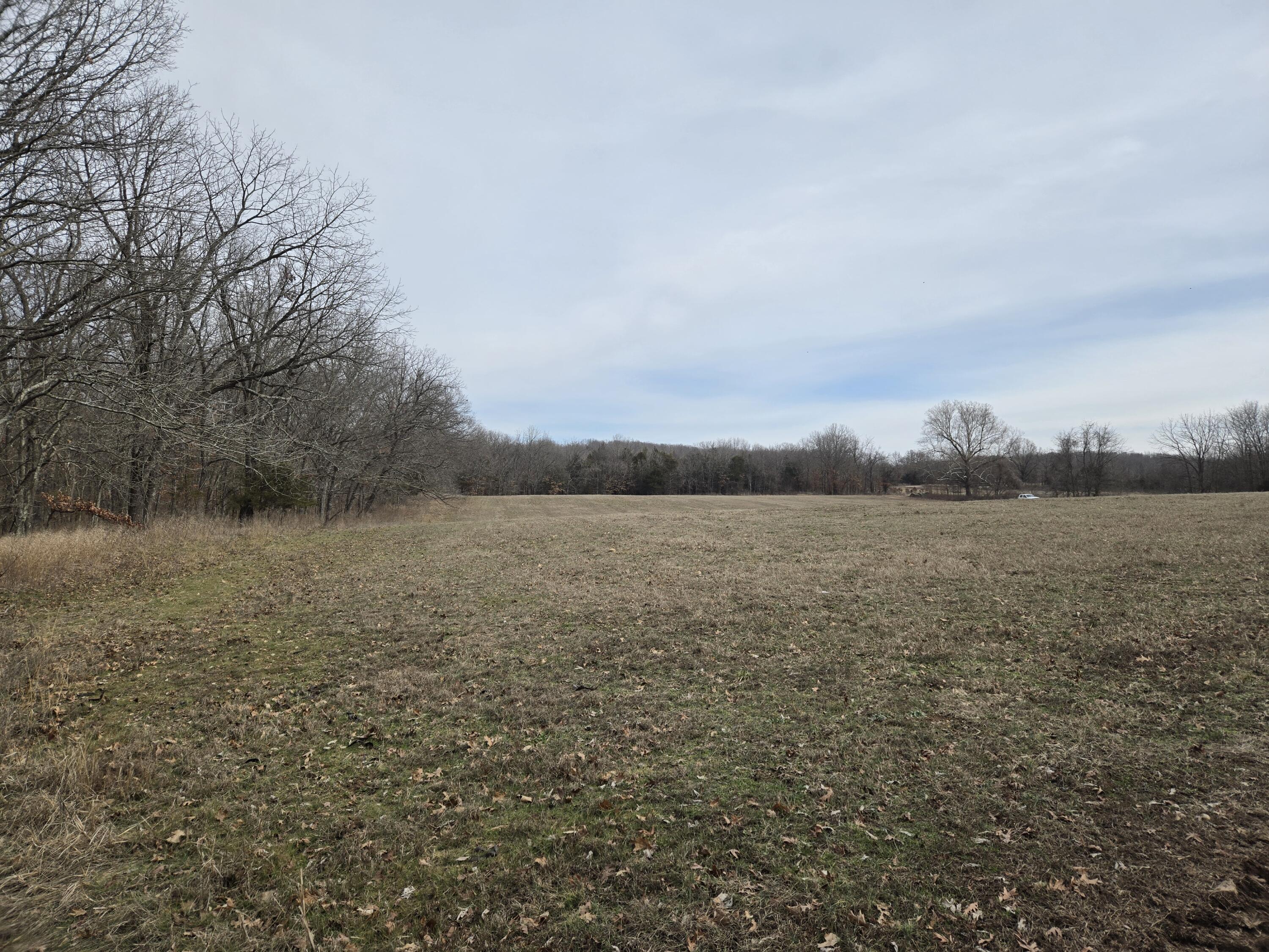 000 Hico Road Property Photo 18