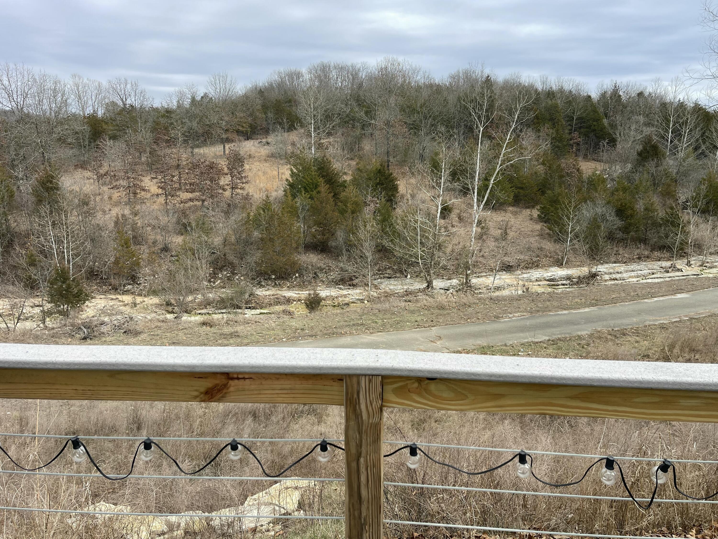 182 Whispering Meadows Parkway Property Photo 17