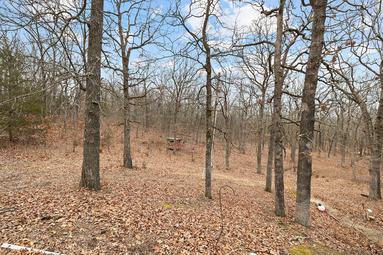 3211 State Hwy Oo Property Photo 36