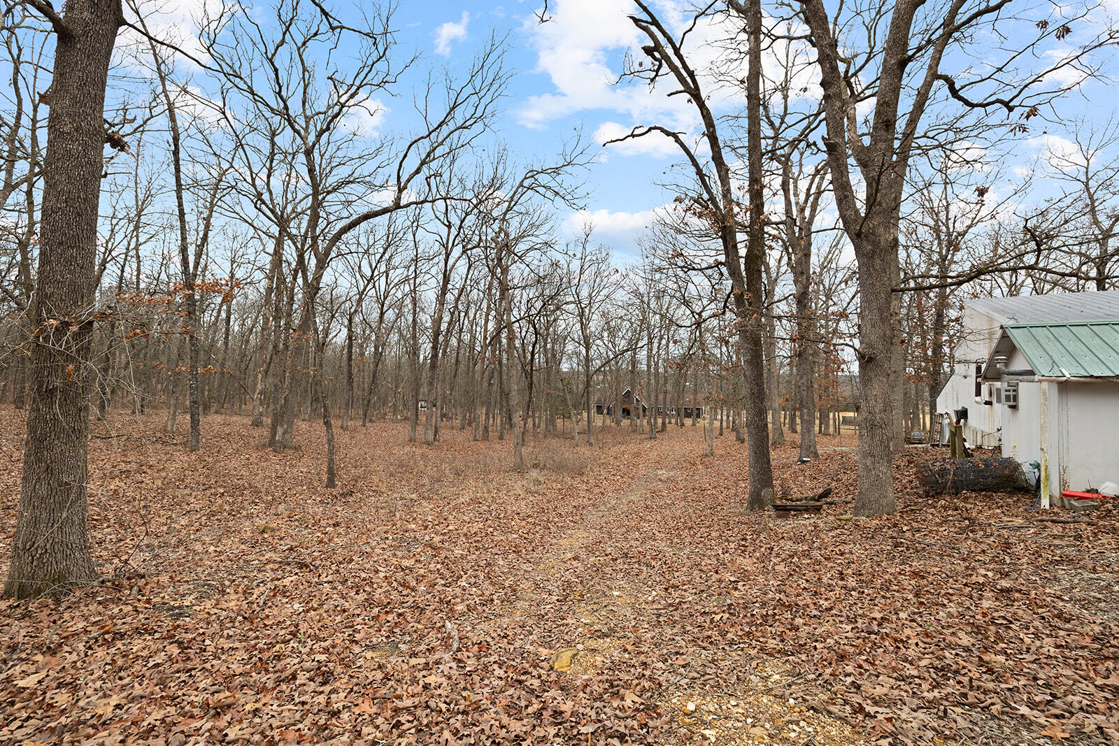 3211 State Hwy Oo Property Photo 38