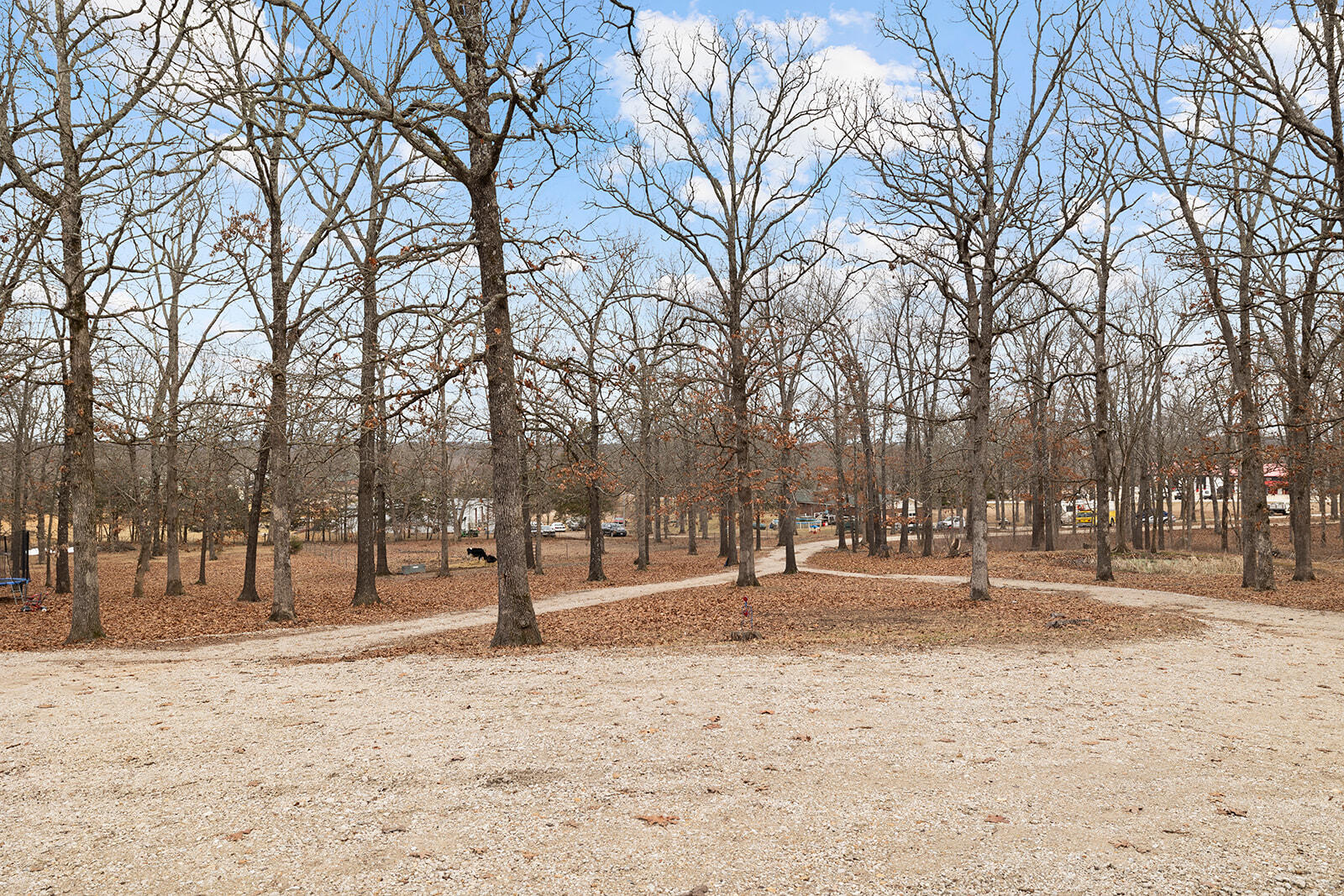 3211 State Hwy Oo Property Photo 47