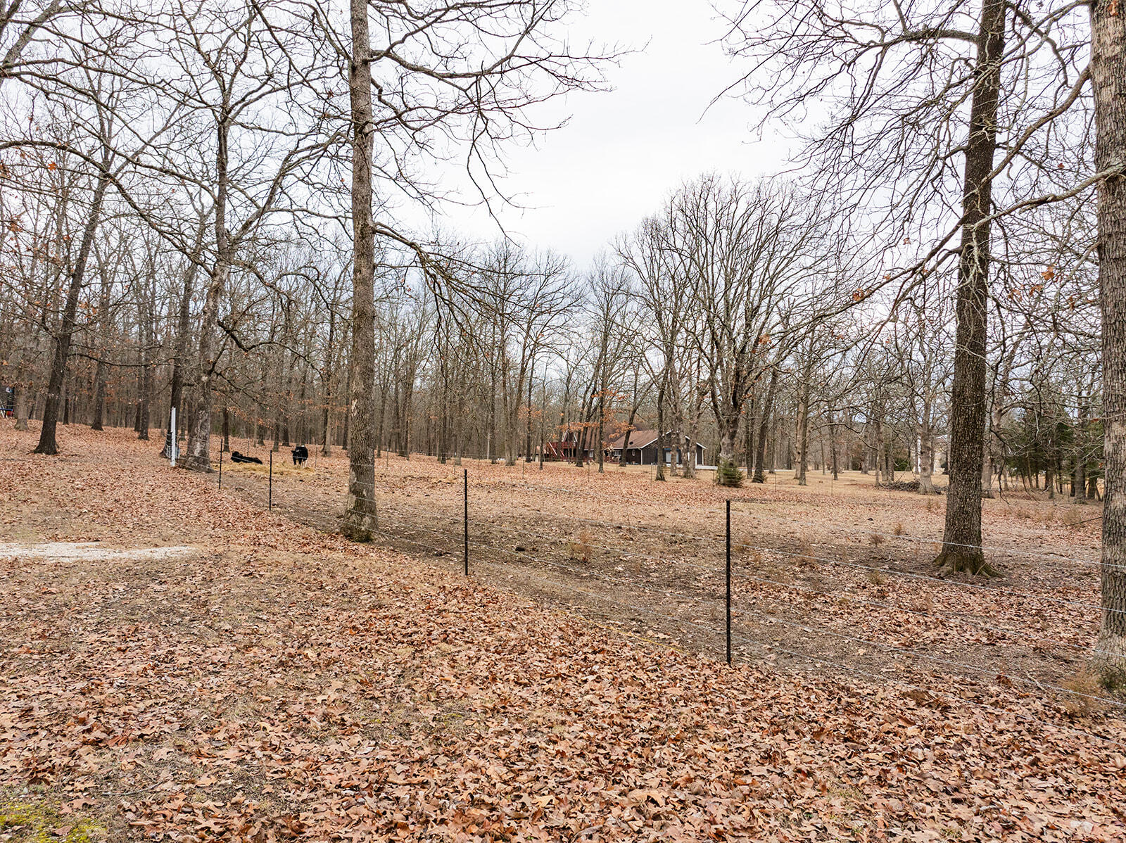 3211 State Hwy Oo Property Photo 51