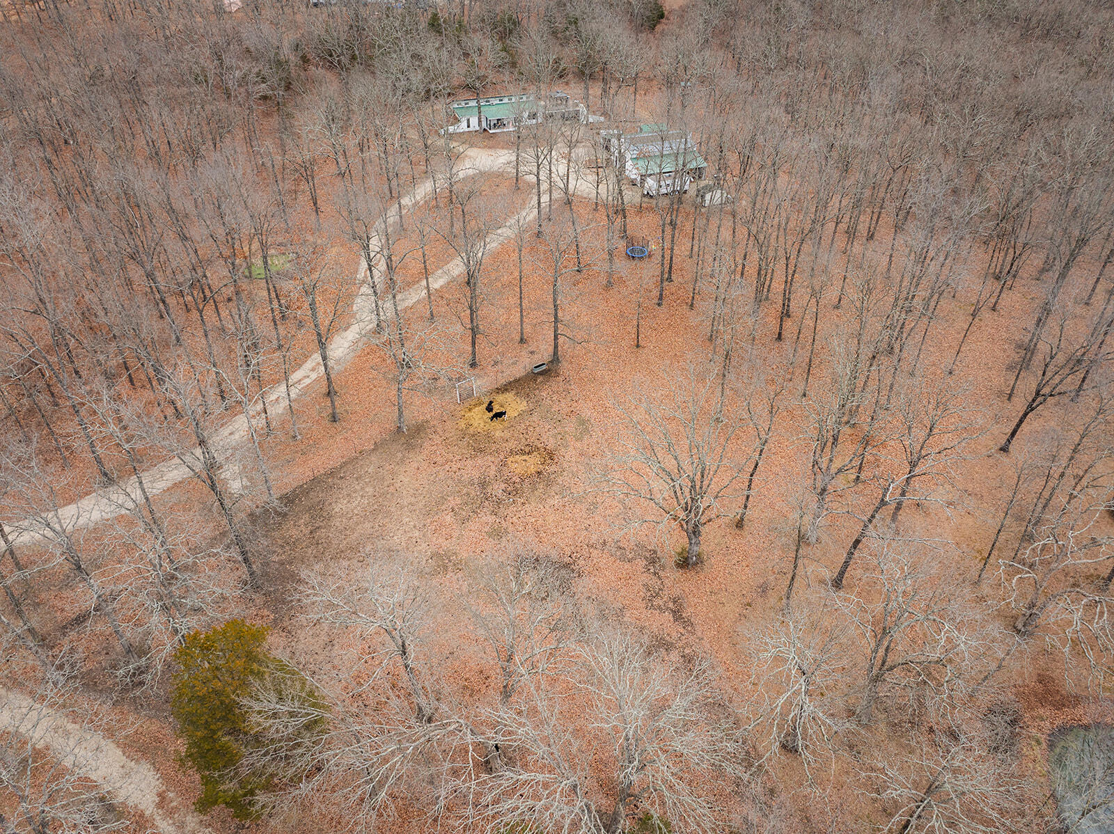 3211 State Hwy Oo Property Photo 67