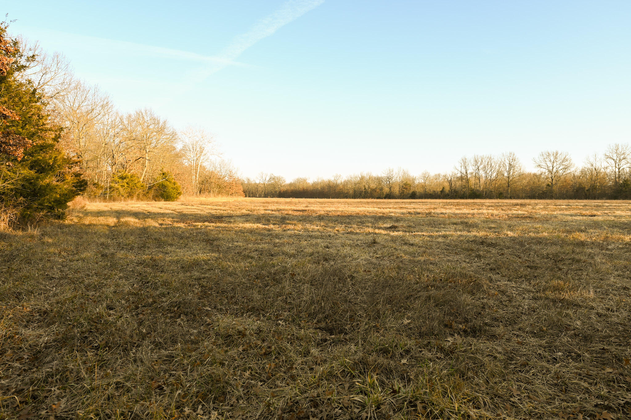 000 Southwest State Rt U Property Photo 9