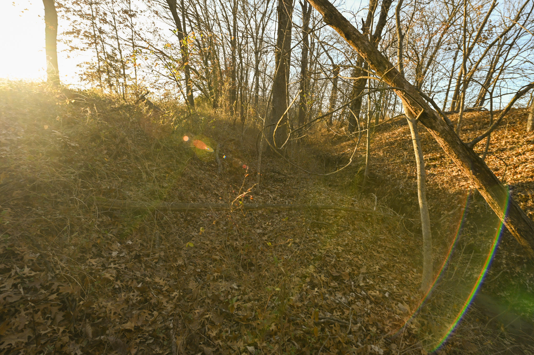000 Southwest State Rt U Property Photo 13