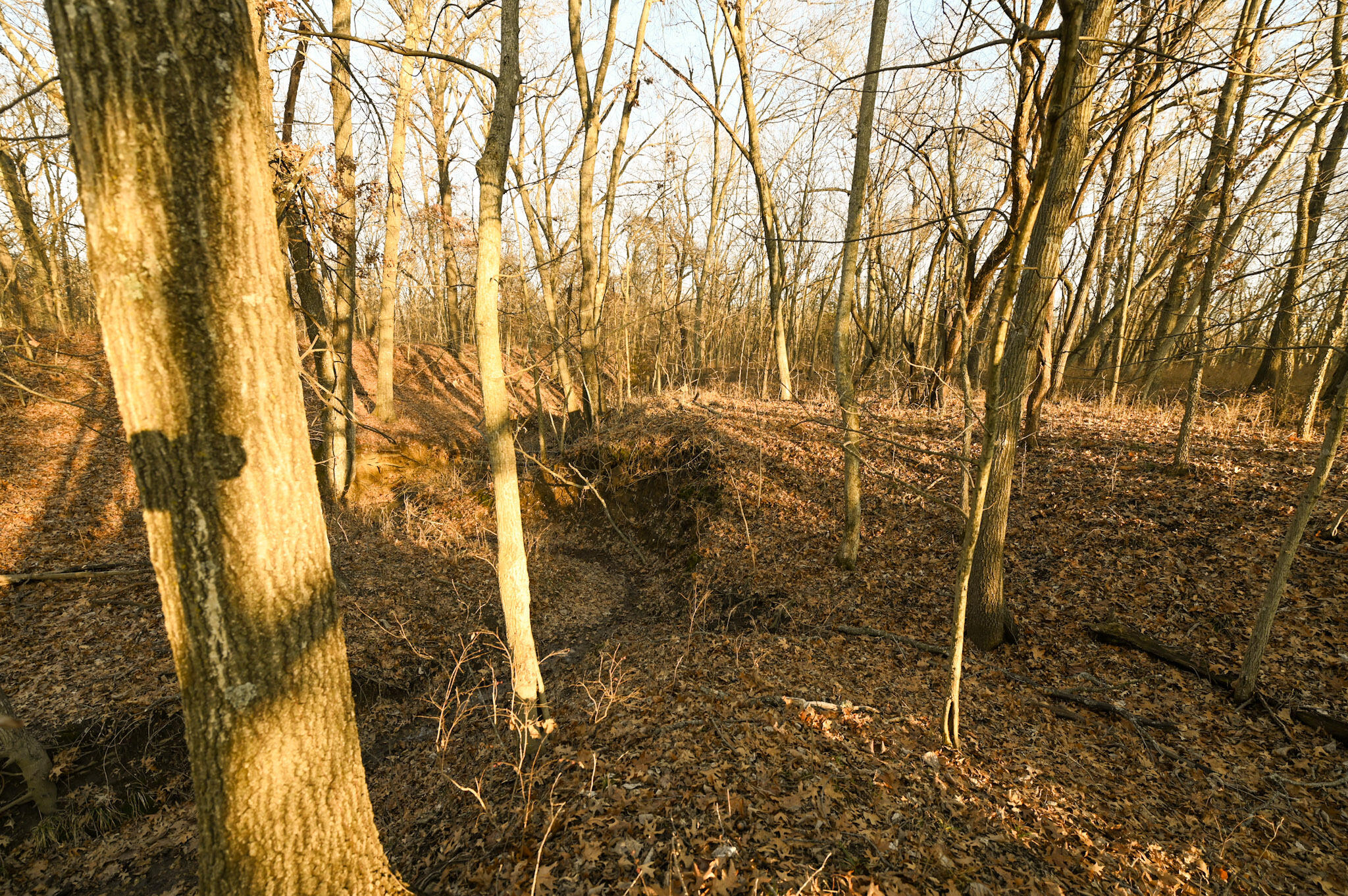 000 Southwest State Rt U Property Photo 16