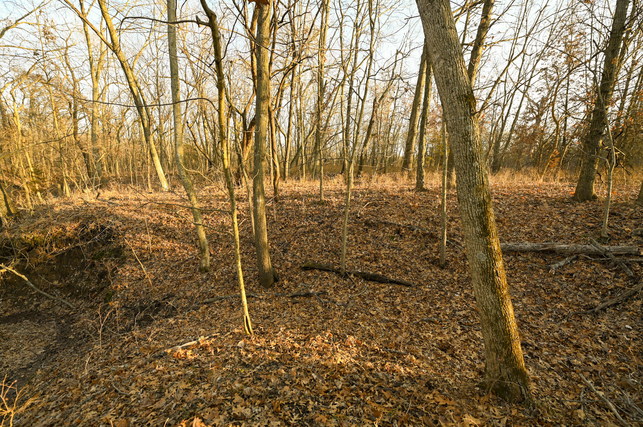 000 Southwest State Rt U Property Photo 17