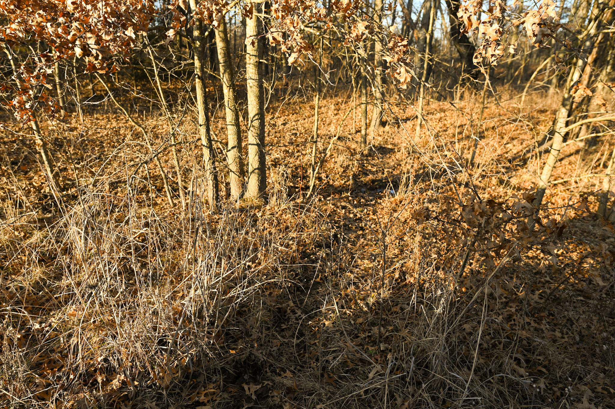 000 Southwest State Rt U Property Photo 20