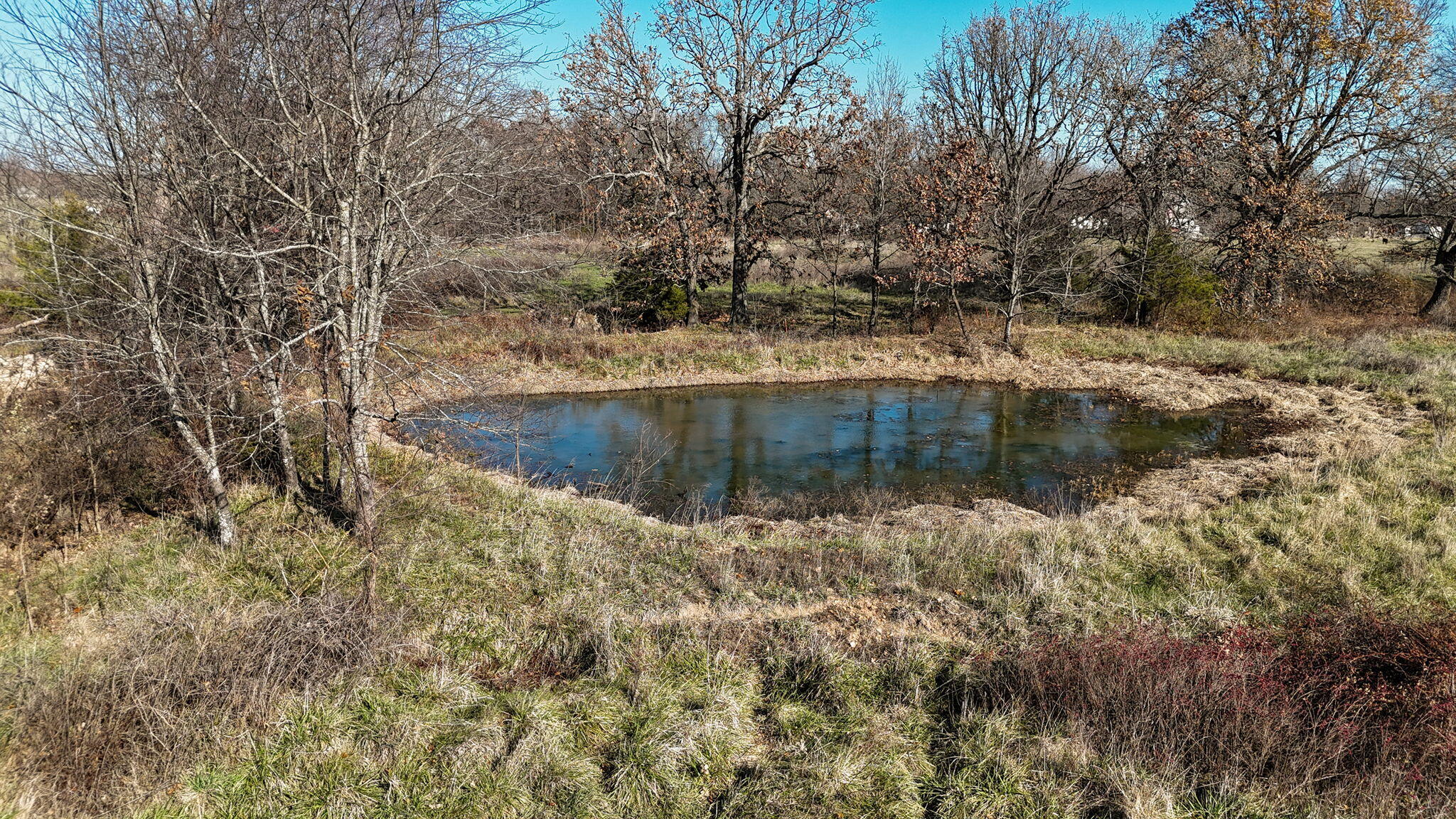 16658 South Highway K Property Photo 7
