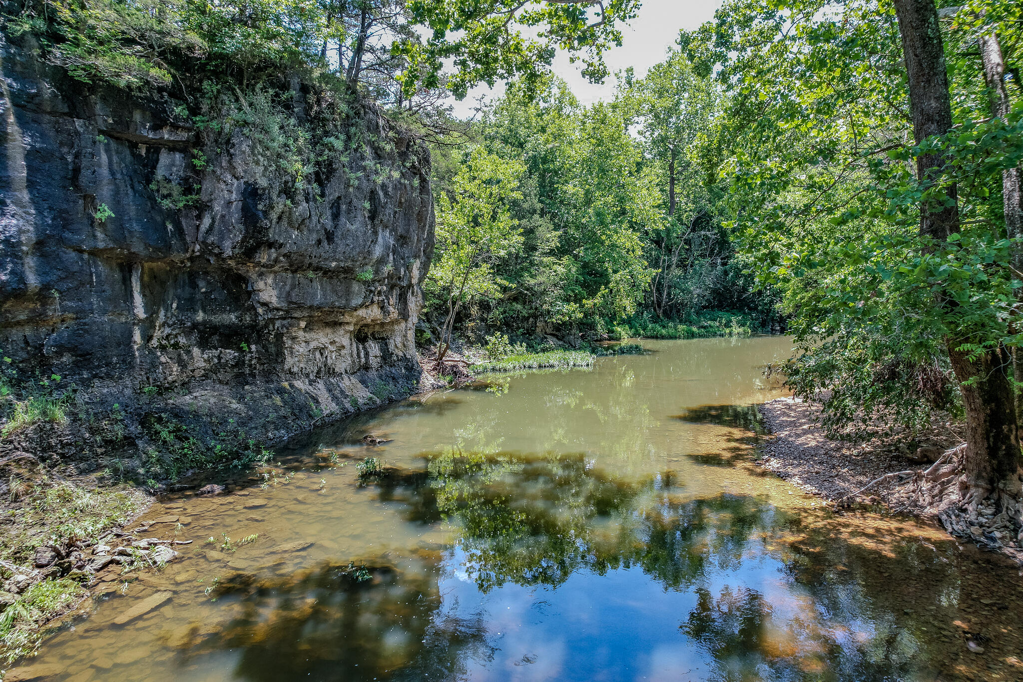 635 Shooting Star Loop Property Photo 6
