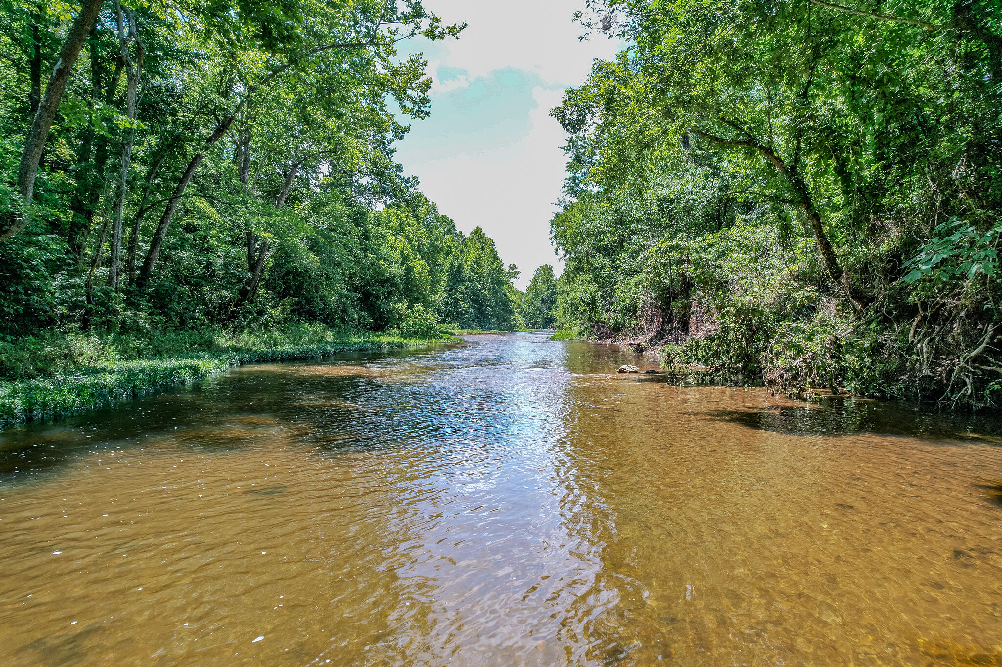 635 Shooting Star Loop Property Photo 9