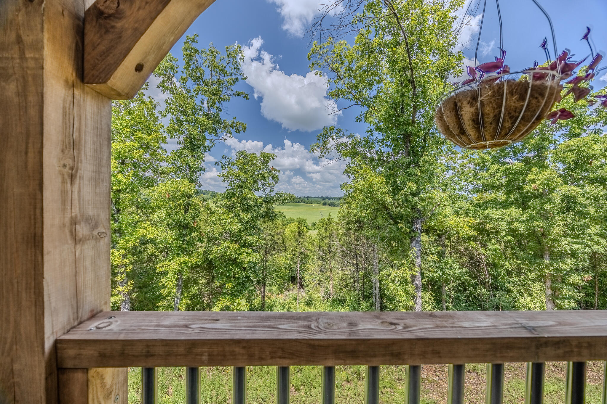 635 Shooting Star Loop Property Photo 46