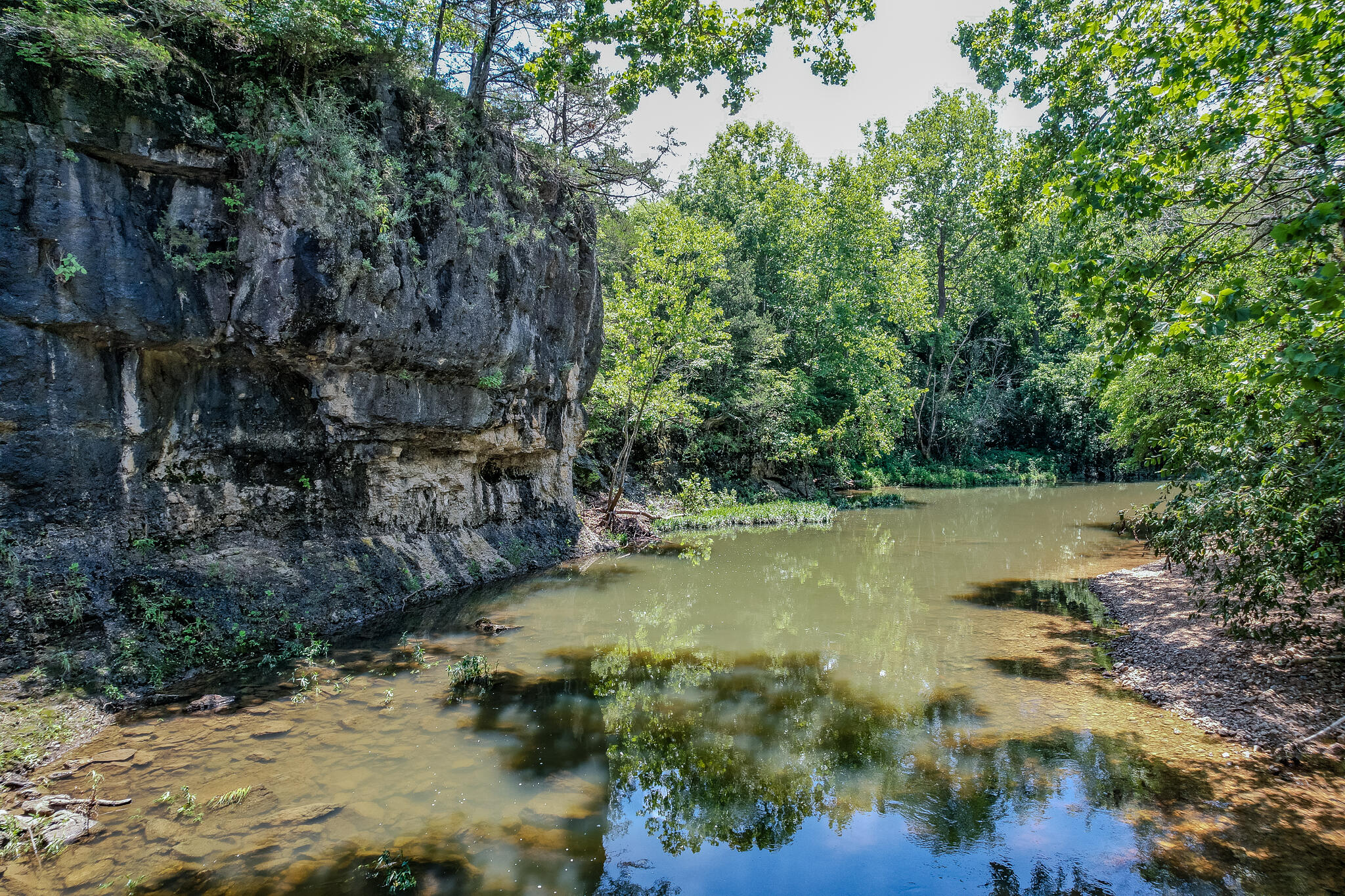 635 Shooting Star Loop Property Photo 67