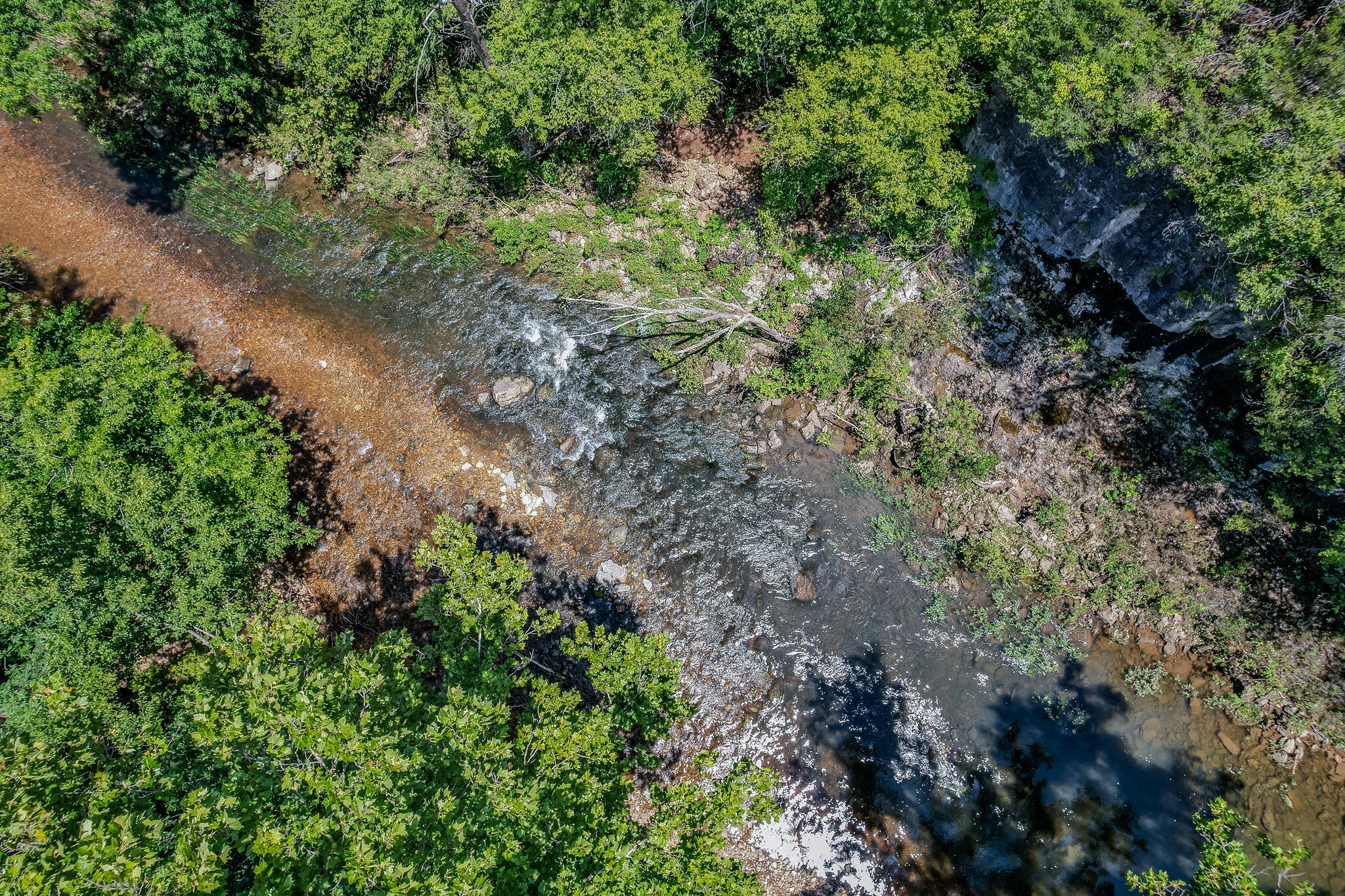 635 Shooting Star Loop Property Photo 68
