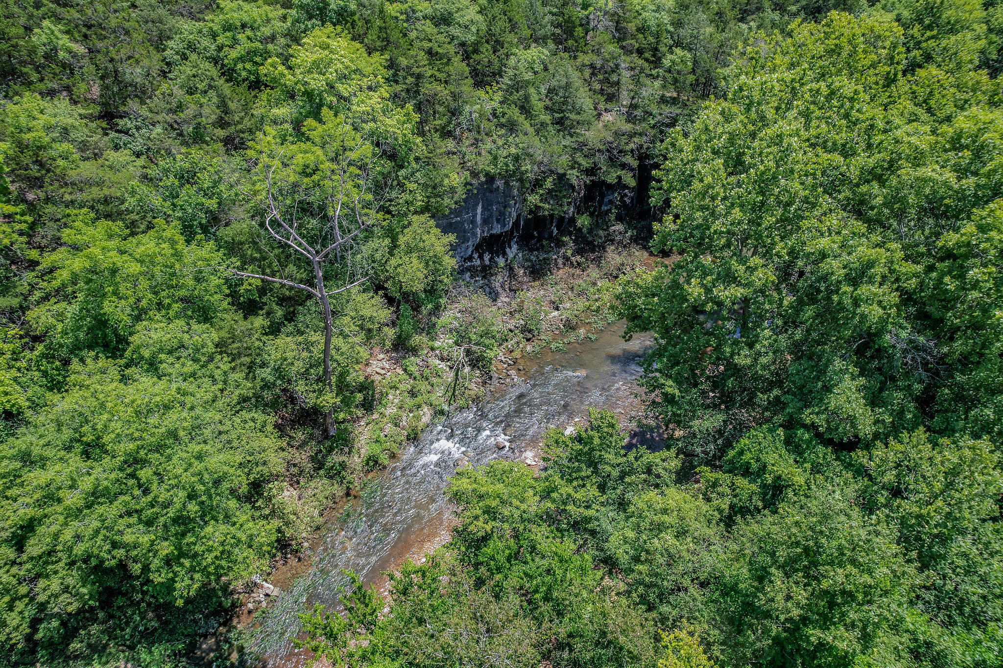 635 Shooting Star Loop Property Photo 69