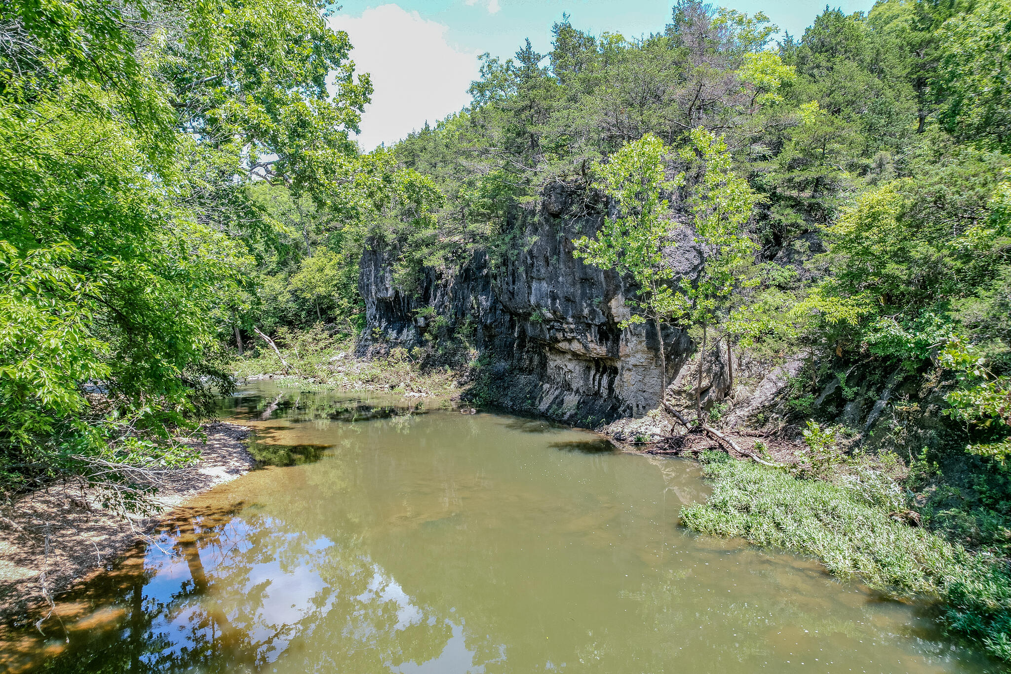 635 Shooting Star Loop Property Photo 71