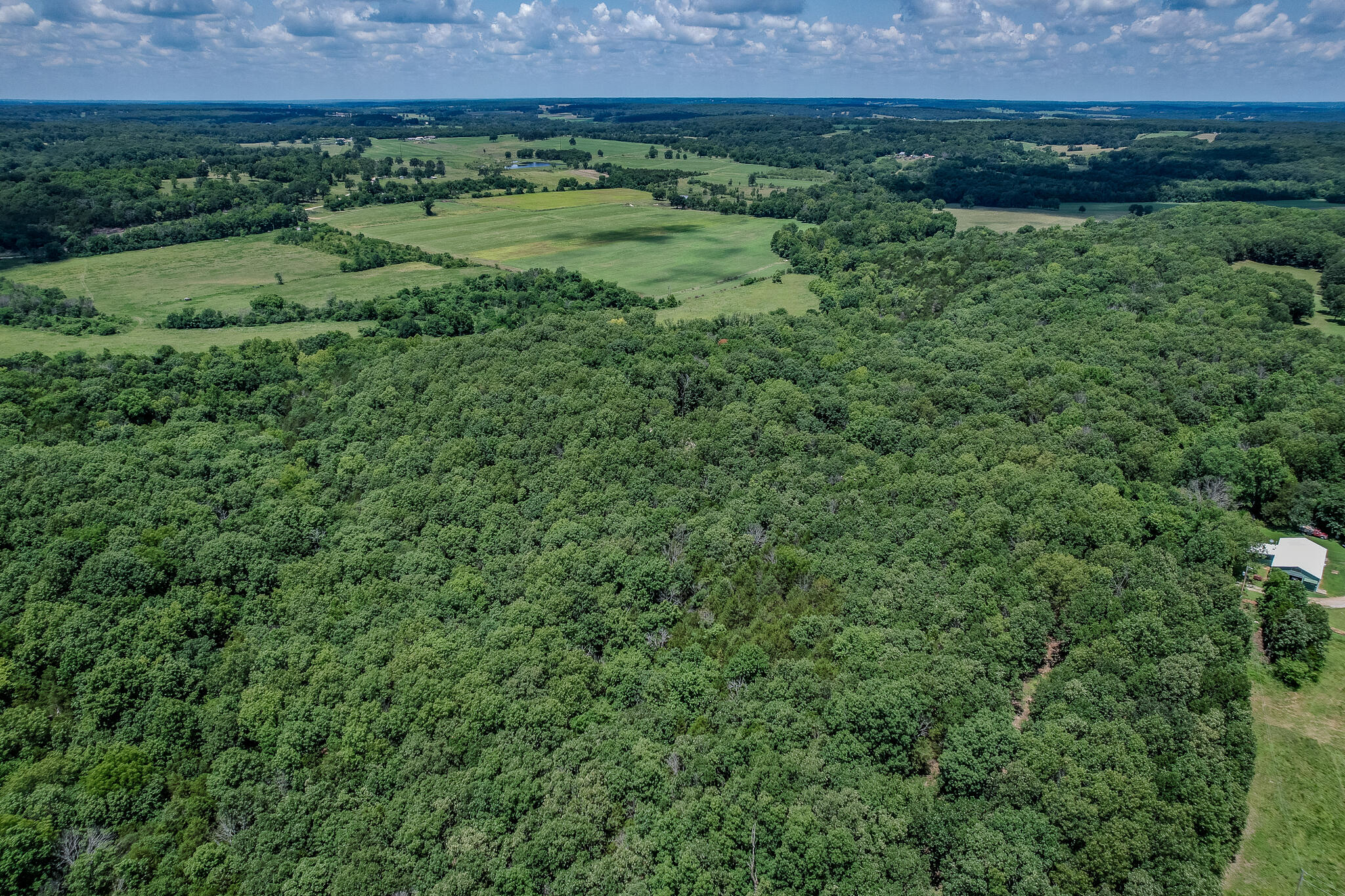 635 Shooting Star Loop Property Photo 93