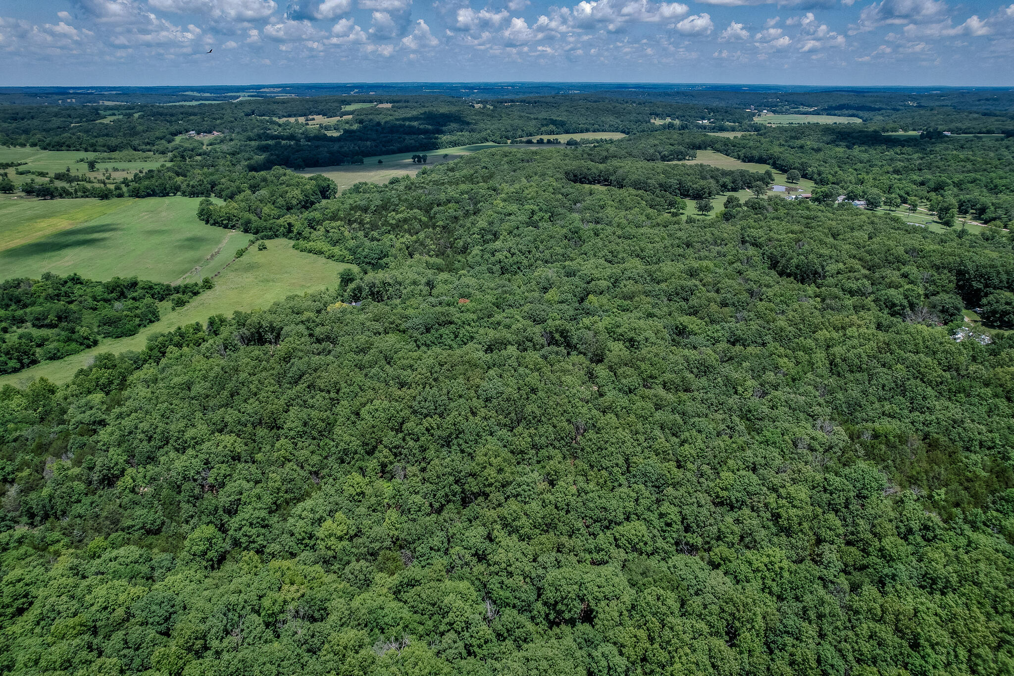 635 Shooting Star Loop Property Photo 94