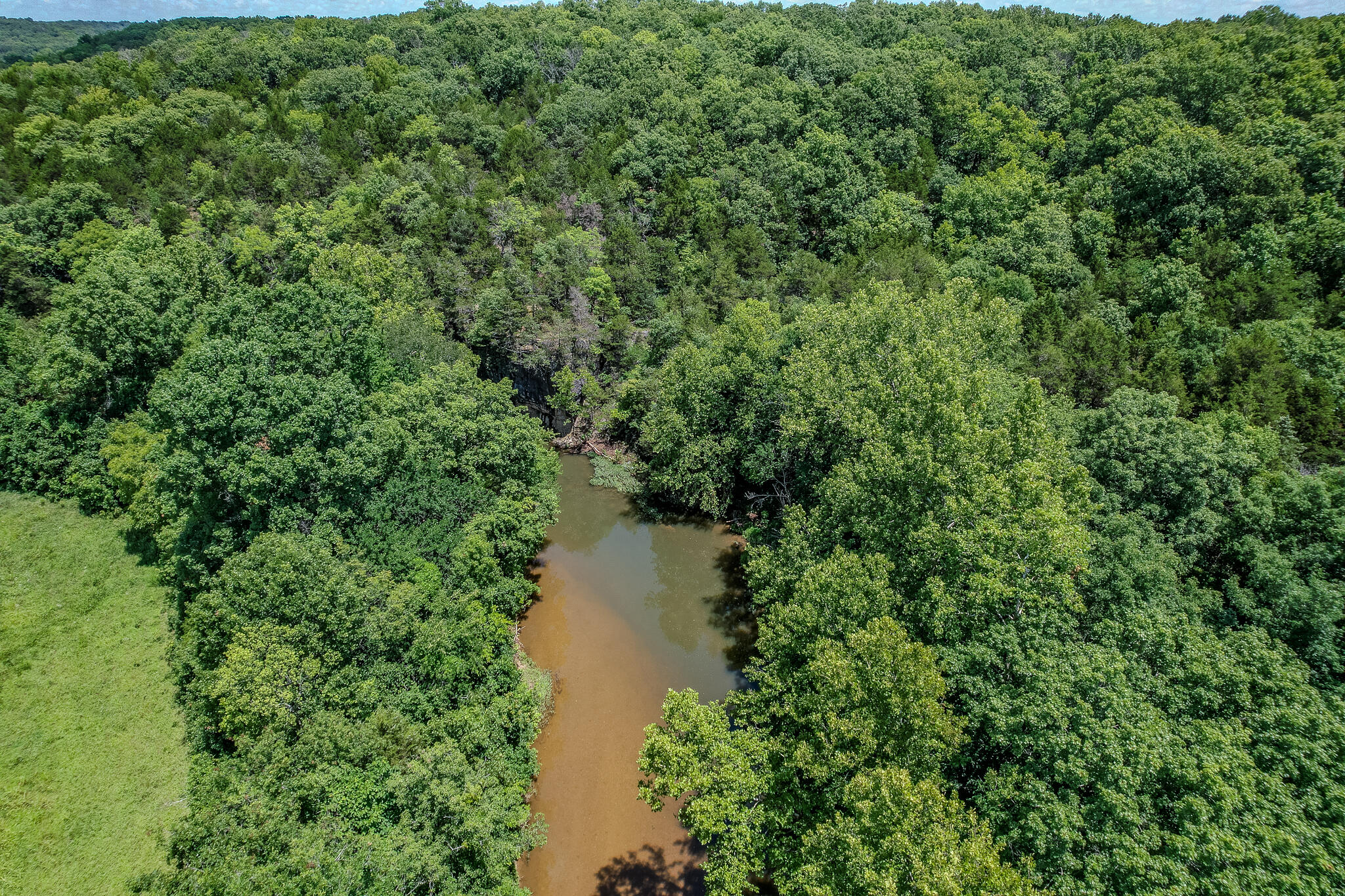 635 Shooting Star Loop Property Photo 98