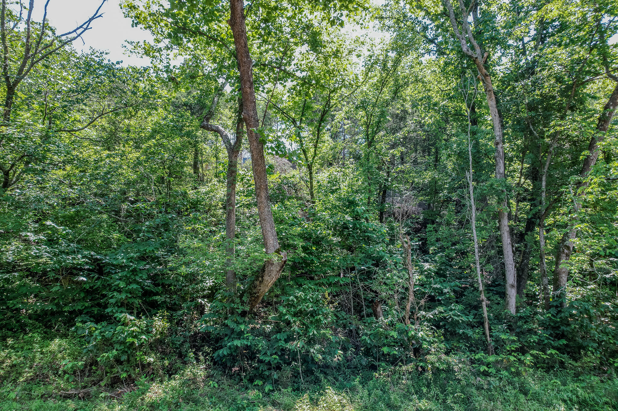 635 Shooting Star Loop Property Photo 100