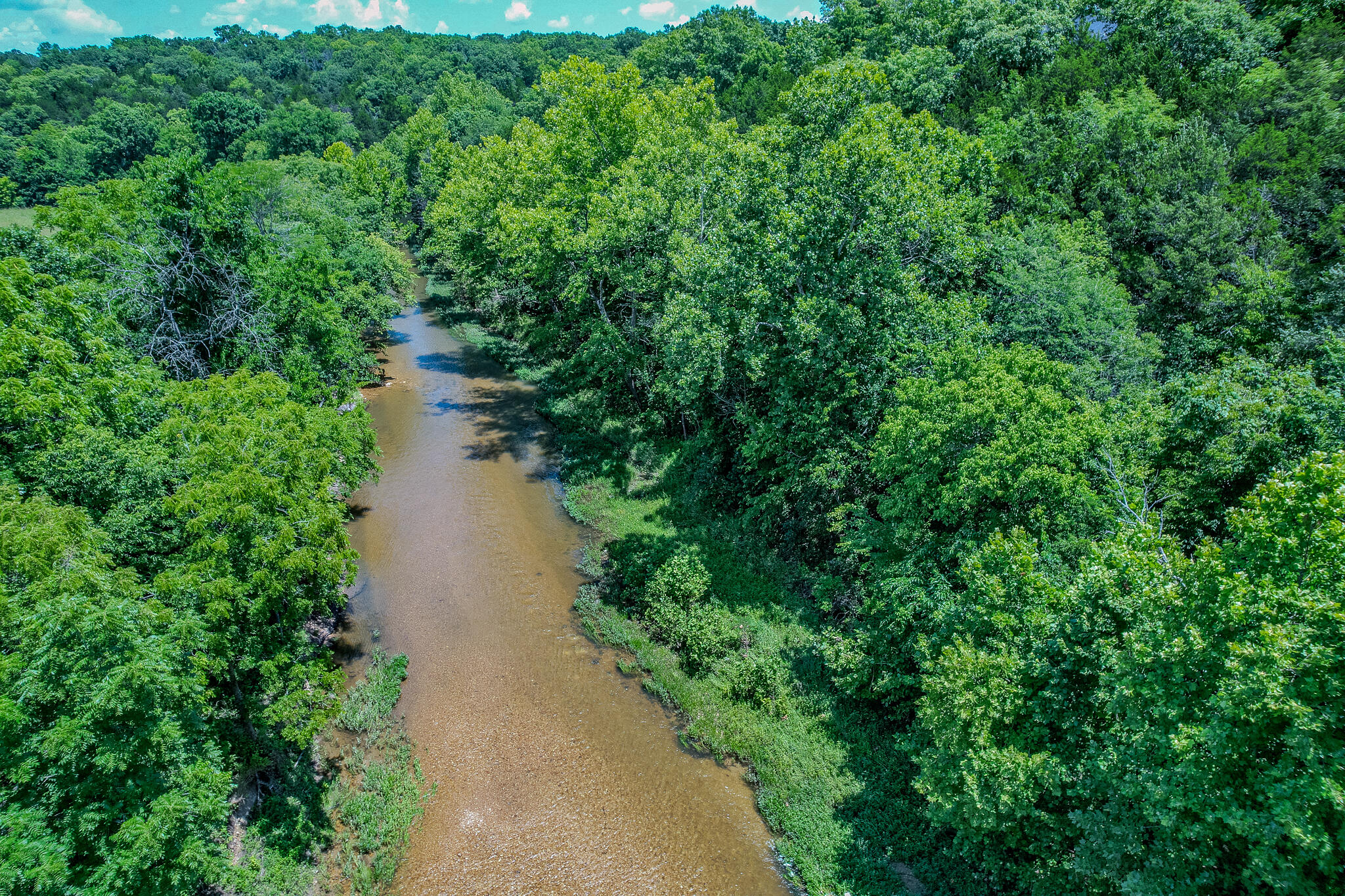 635 Shooting Star Loop Property Photo 101