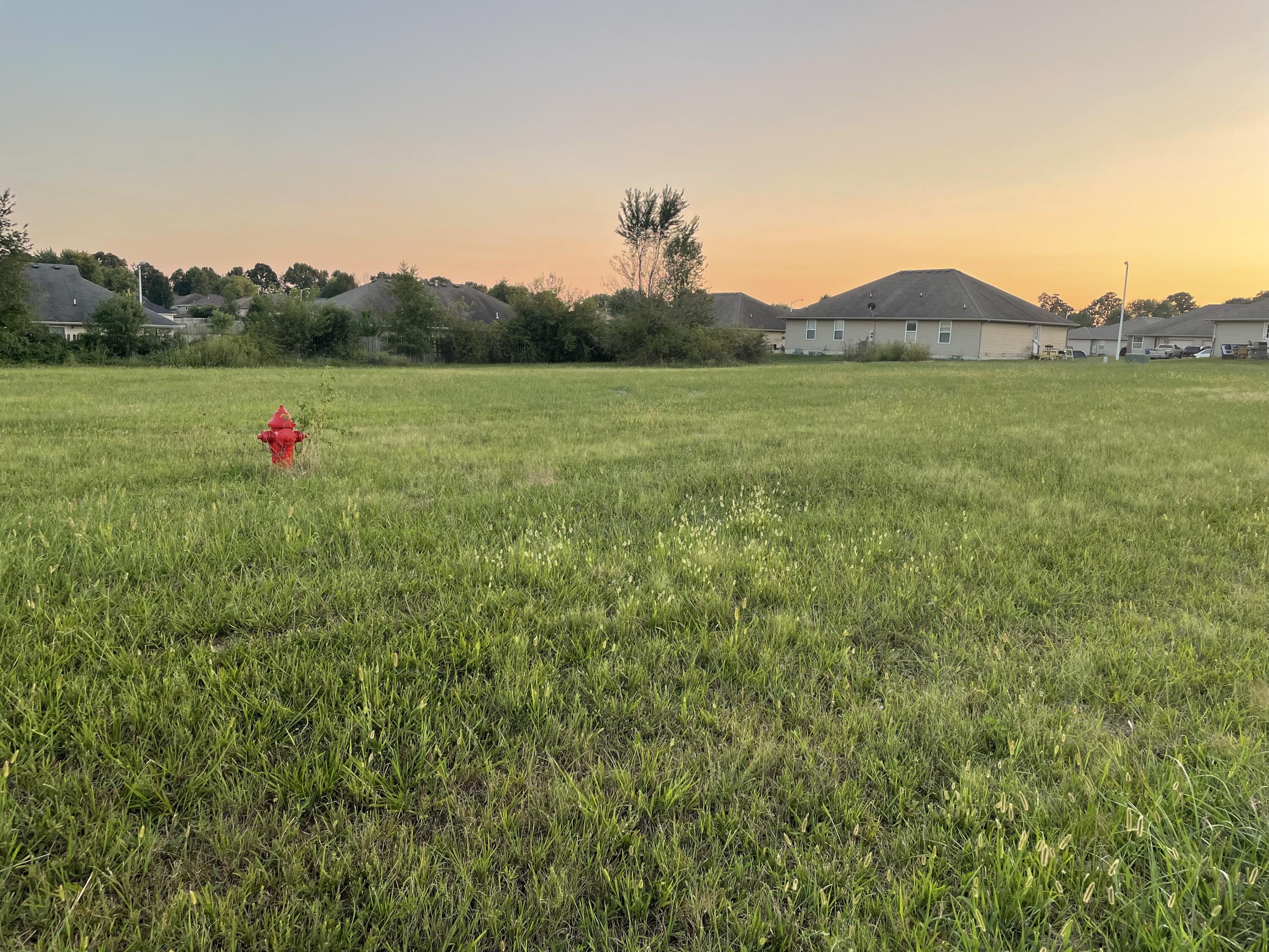Lot 1 Veterans Boulevard Property Photo 2