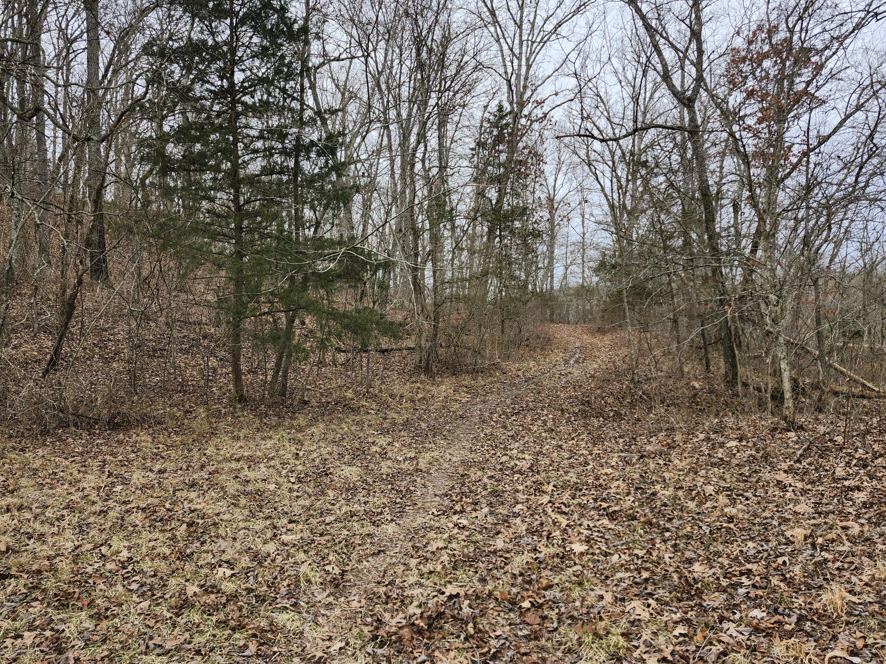 31312 95-146 Property Photo 40