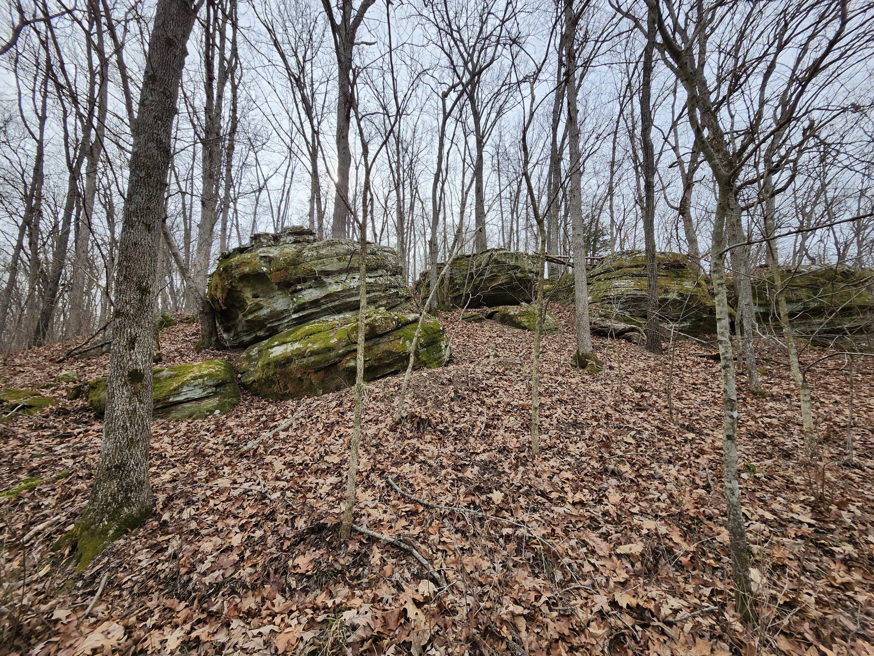 31312 95-146 Property Photo 41