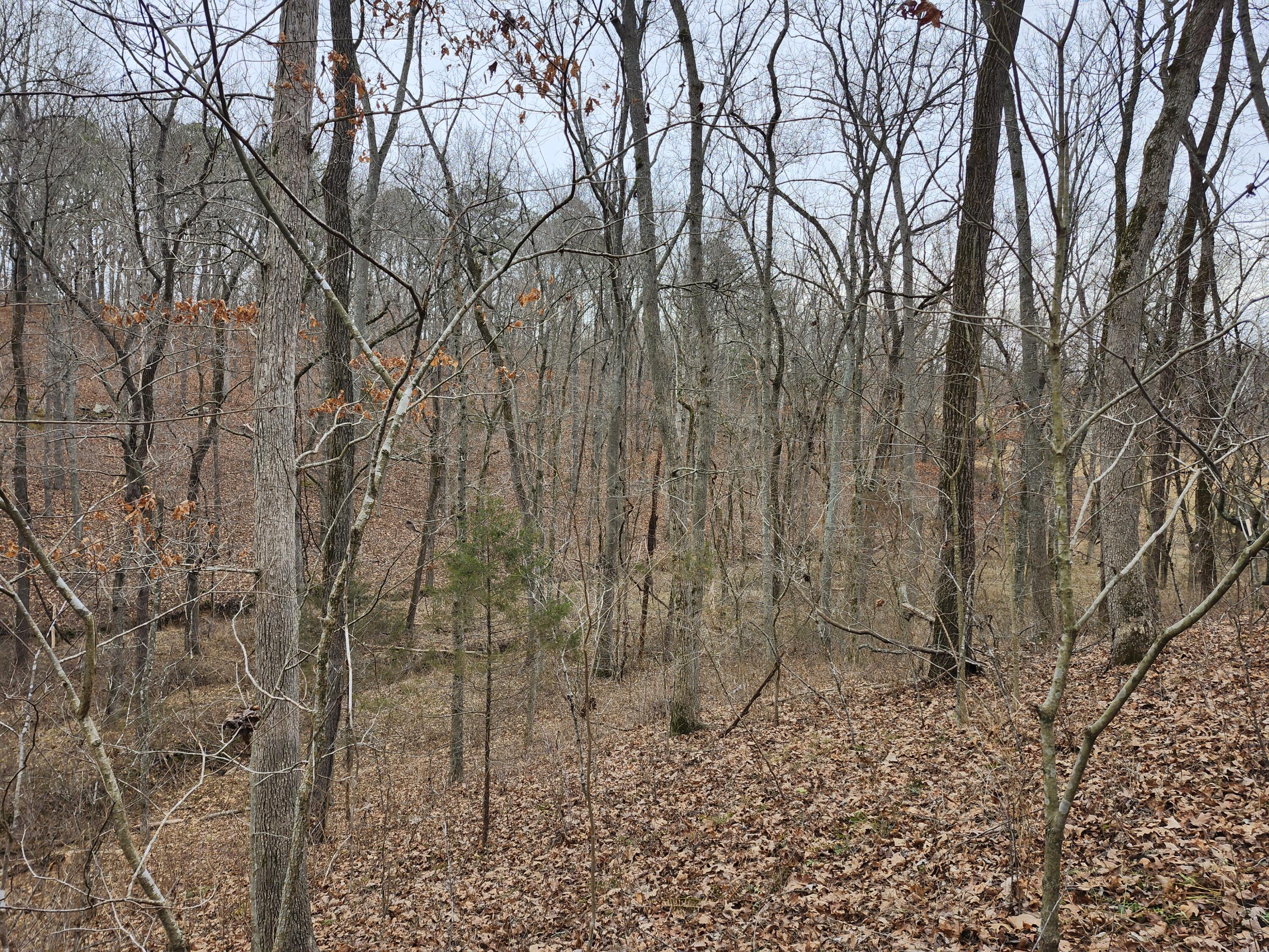 31312 95-146 Property Photo 44