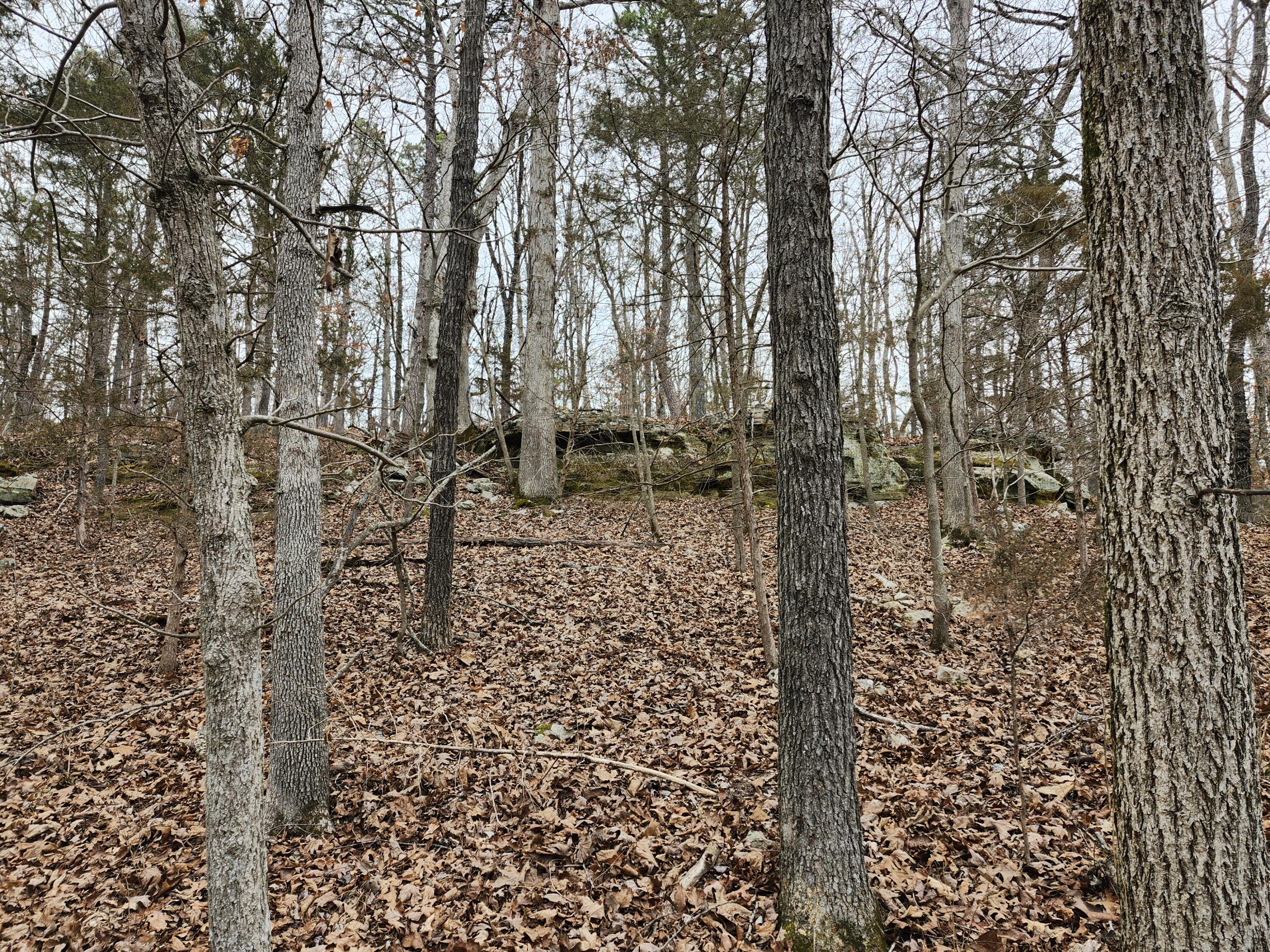 31312 95-146 Property Photo 45
