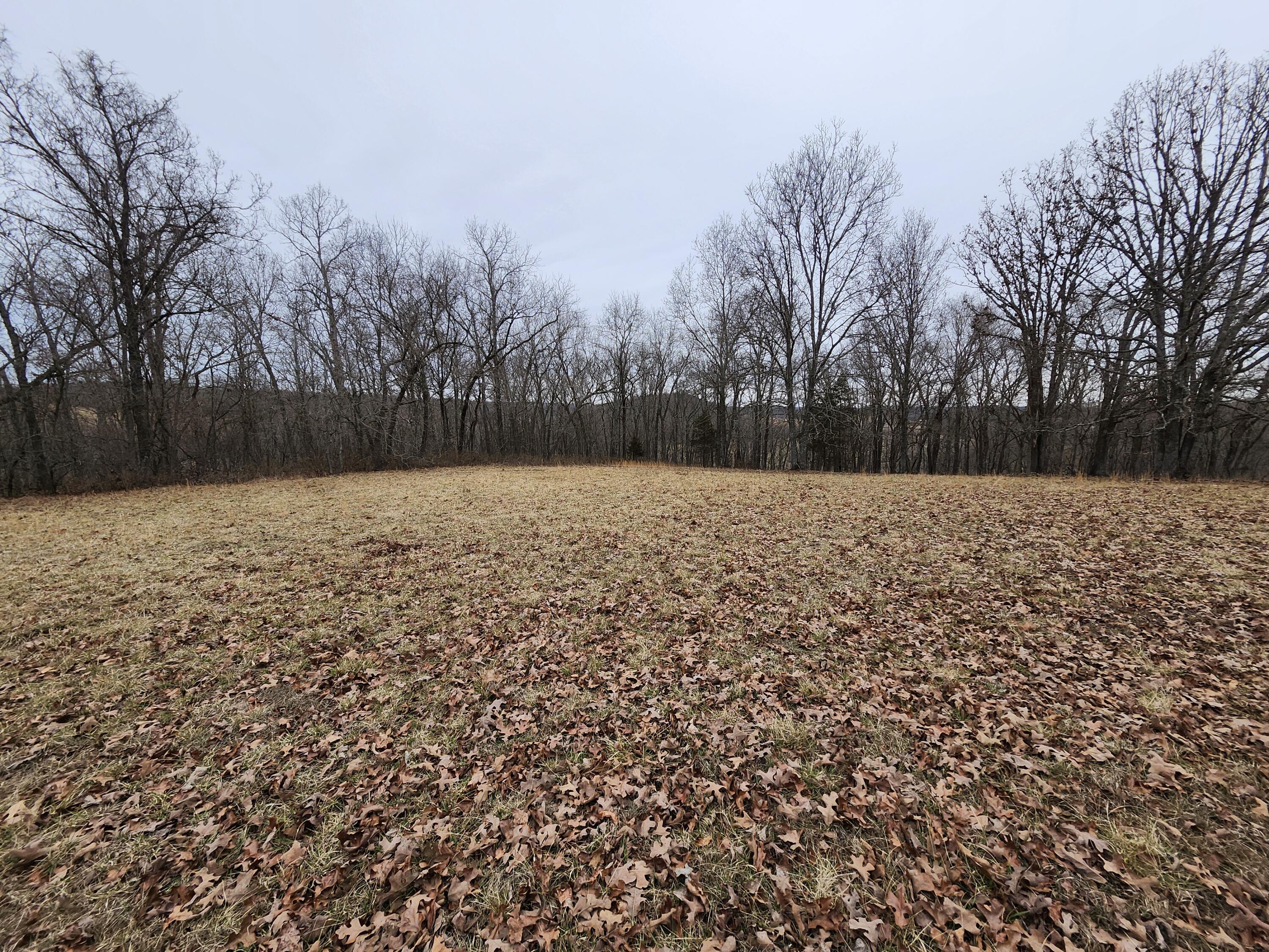 31312 95-146 Property Photo 52