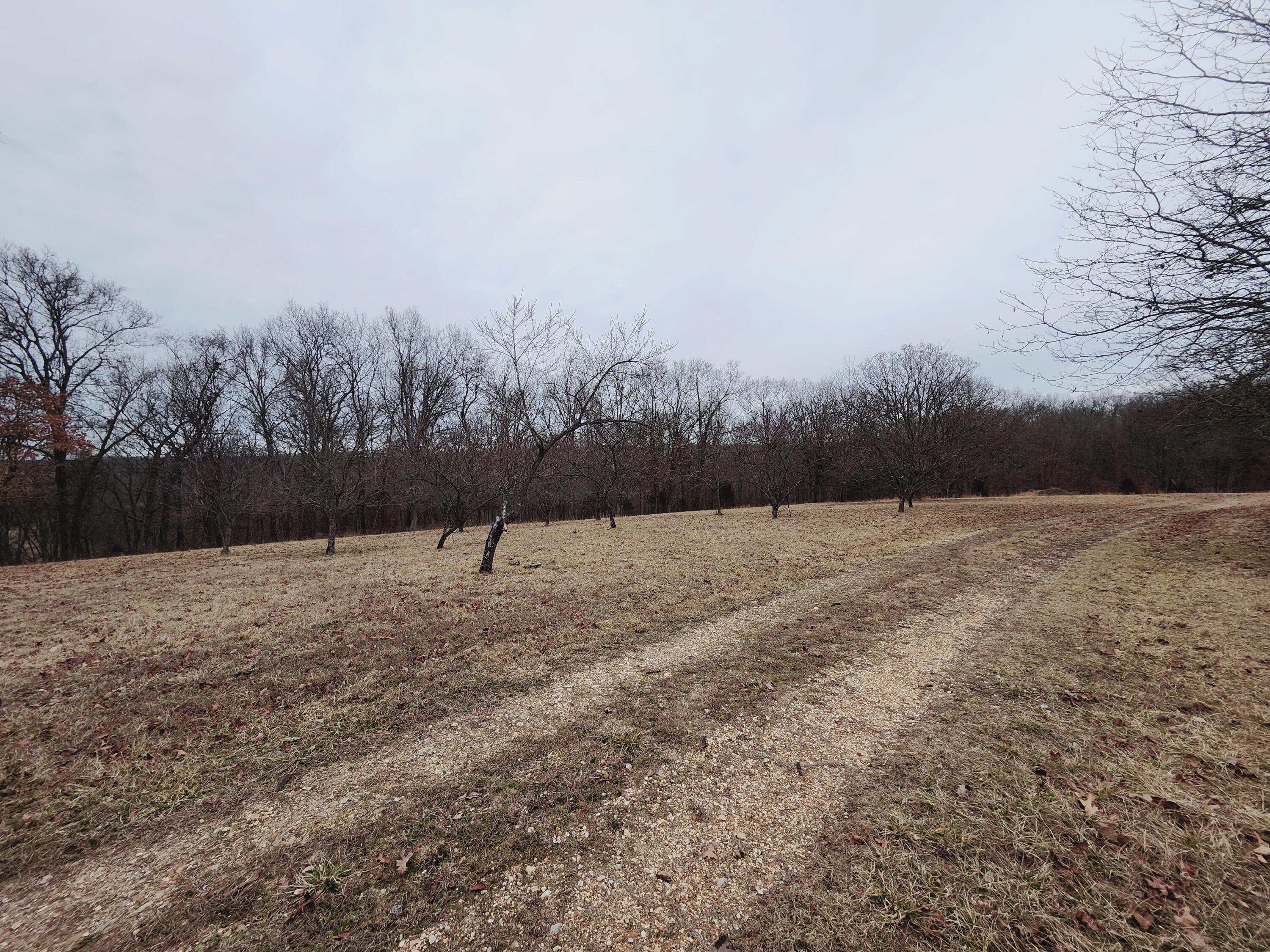 31312 95-146 Property Photo 56