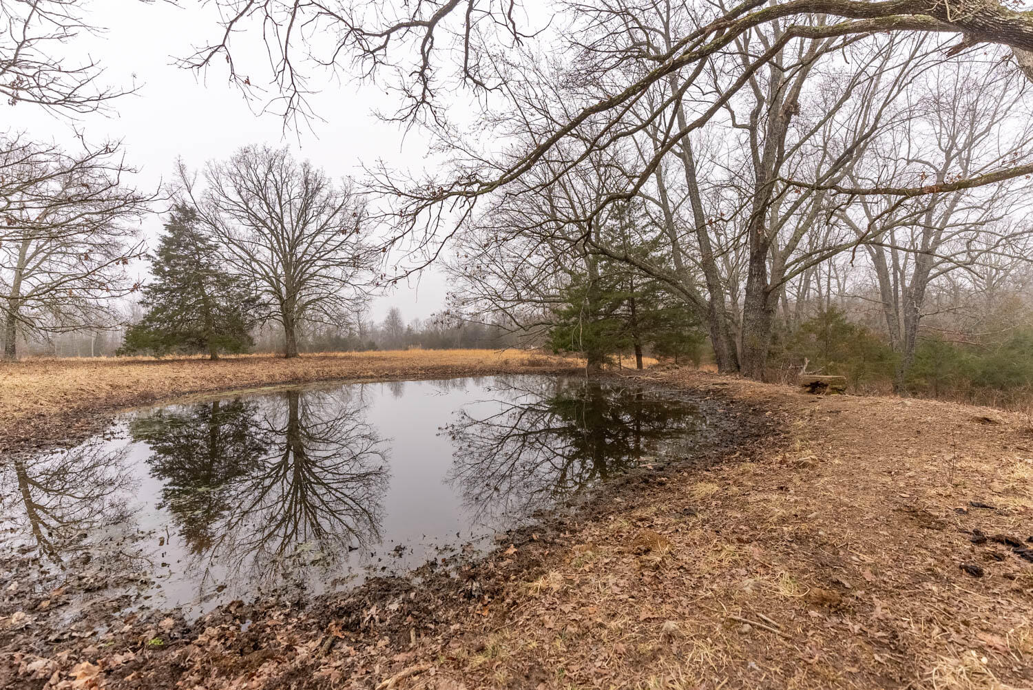 14125 State Route E Property Photo 67
