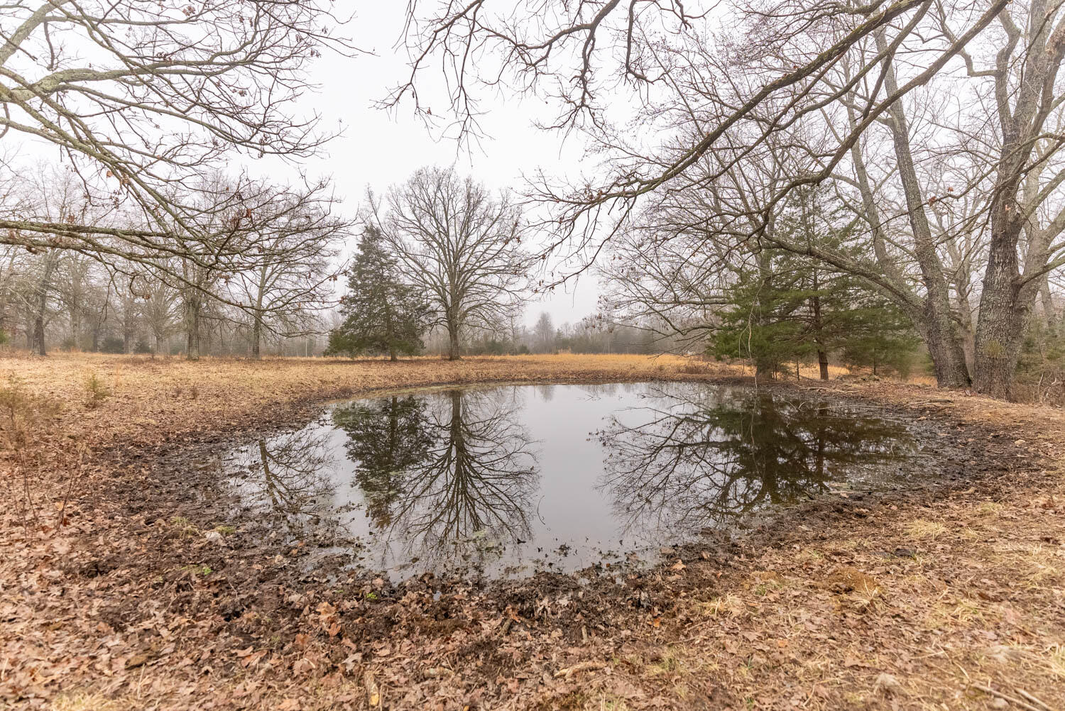 14125 State Route E Property Photo 68