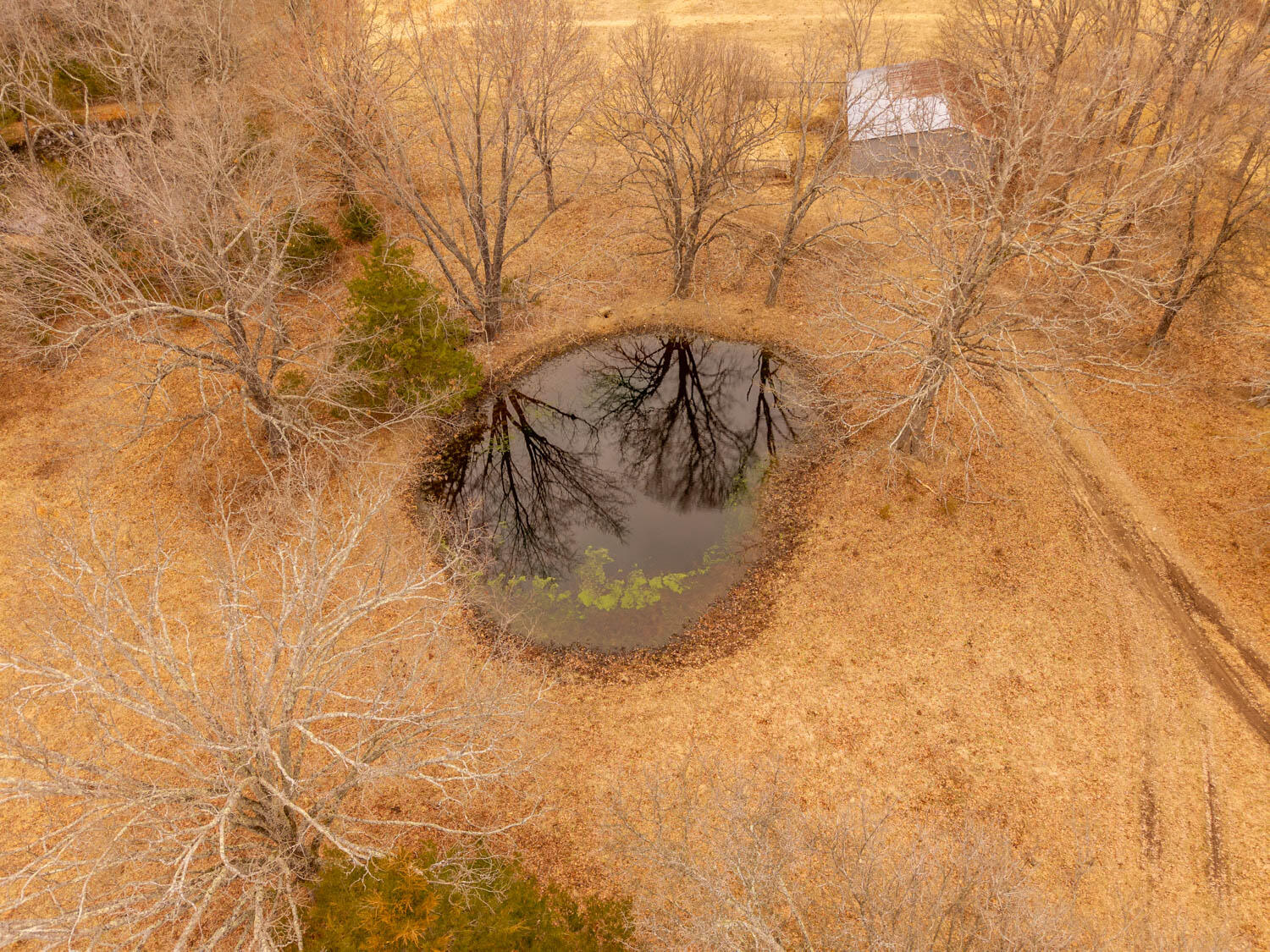 14125 State Route E Property Photo 78