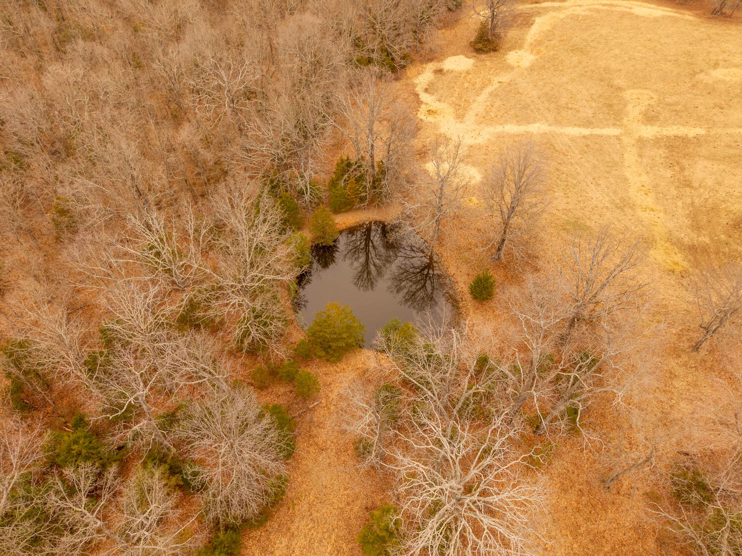 14125 State Route E Property Photo 79