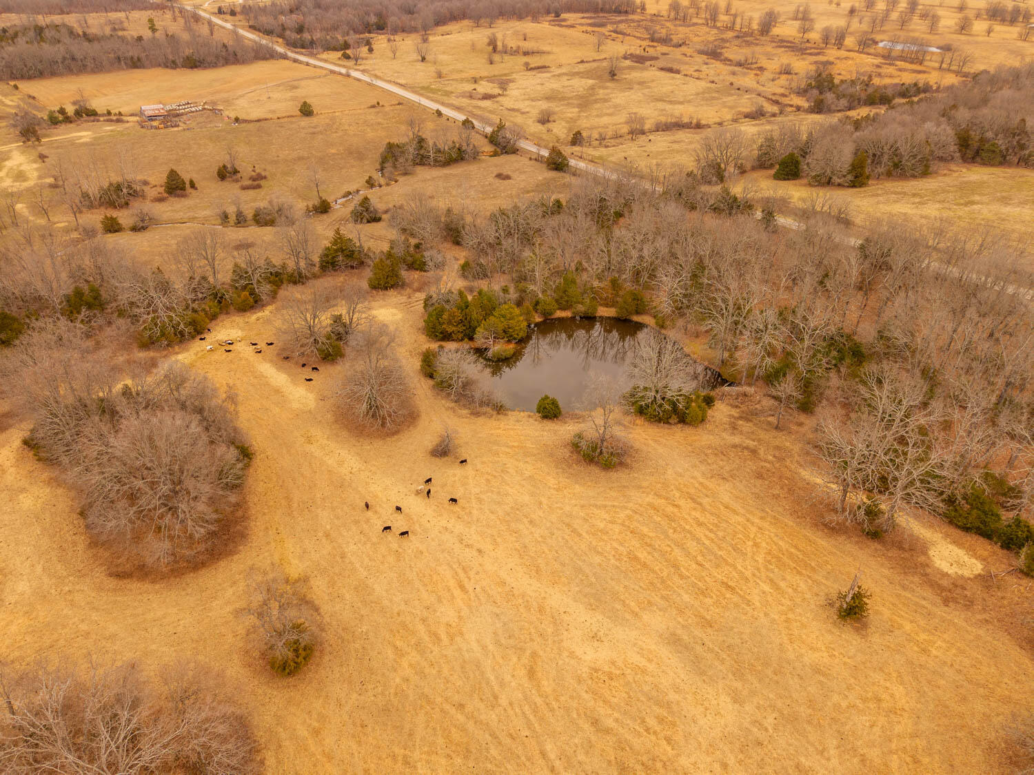 14125 State Route E Property Photo 82