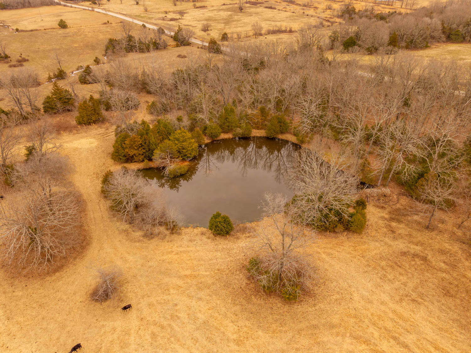 14125 State Route E Property Photo 83