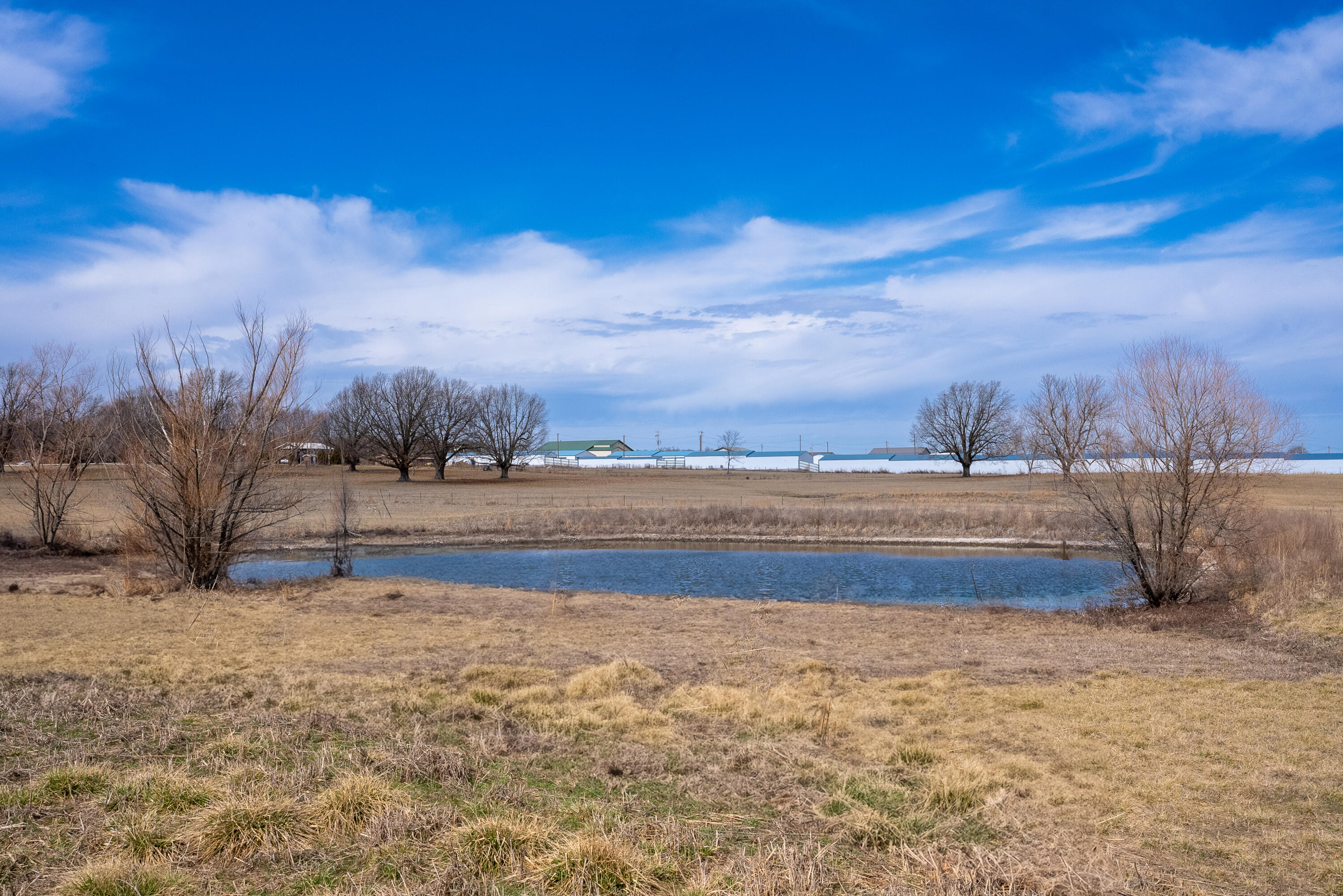 12693 Highway 59 Property Photo 23