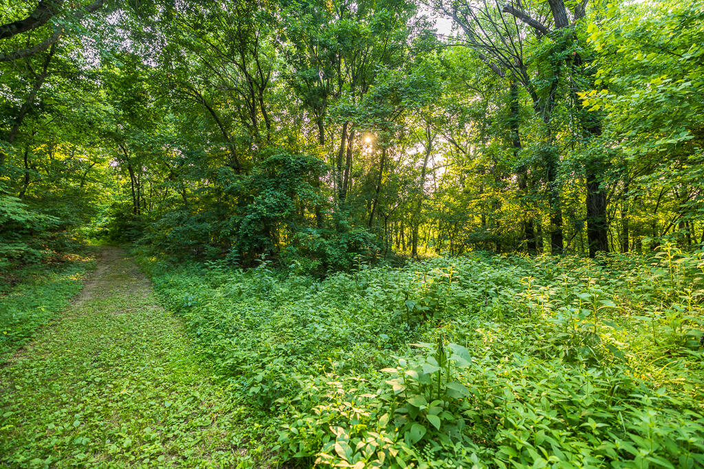 201 Tee Lane Property Photo 85