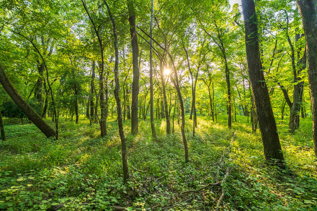 201 Tee Lane Property Photo 86