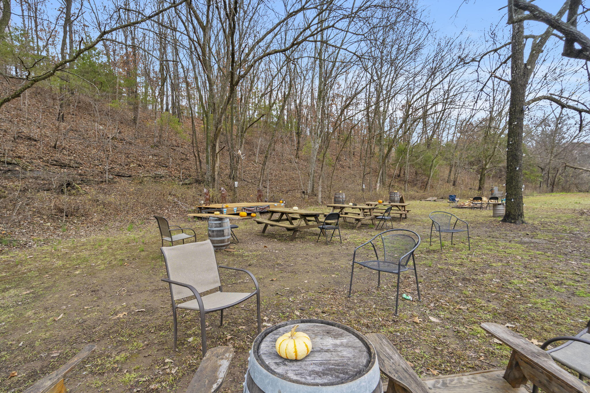 14396 Farm Road 2140 Property Photo 13