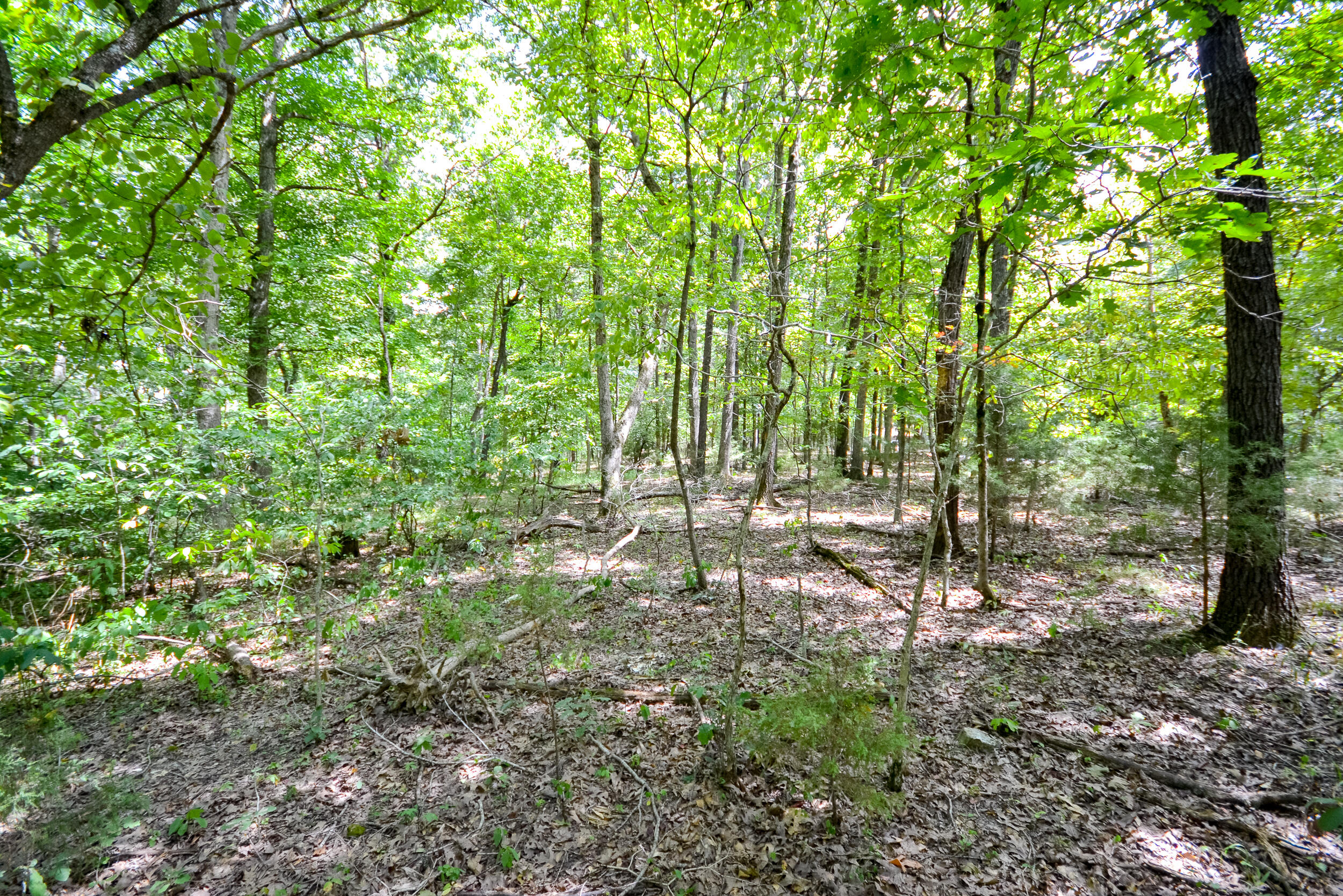 000 Coyote Ridge Road Property Photo 2