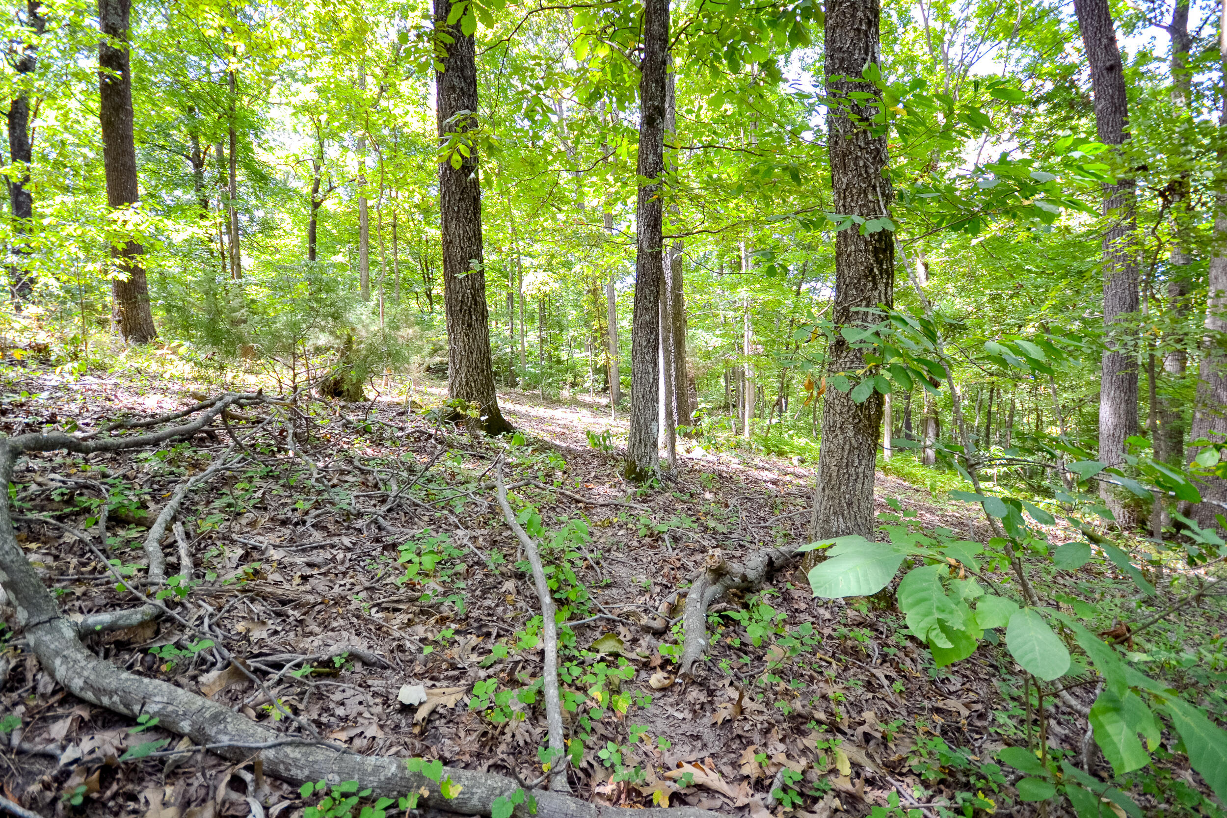 000 Coyote Ridge Road Property Photo 4