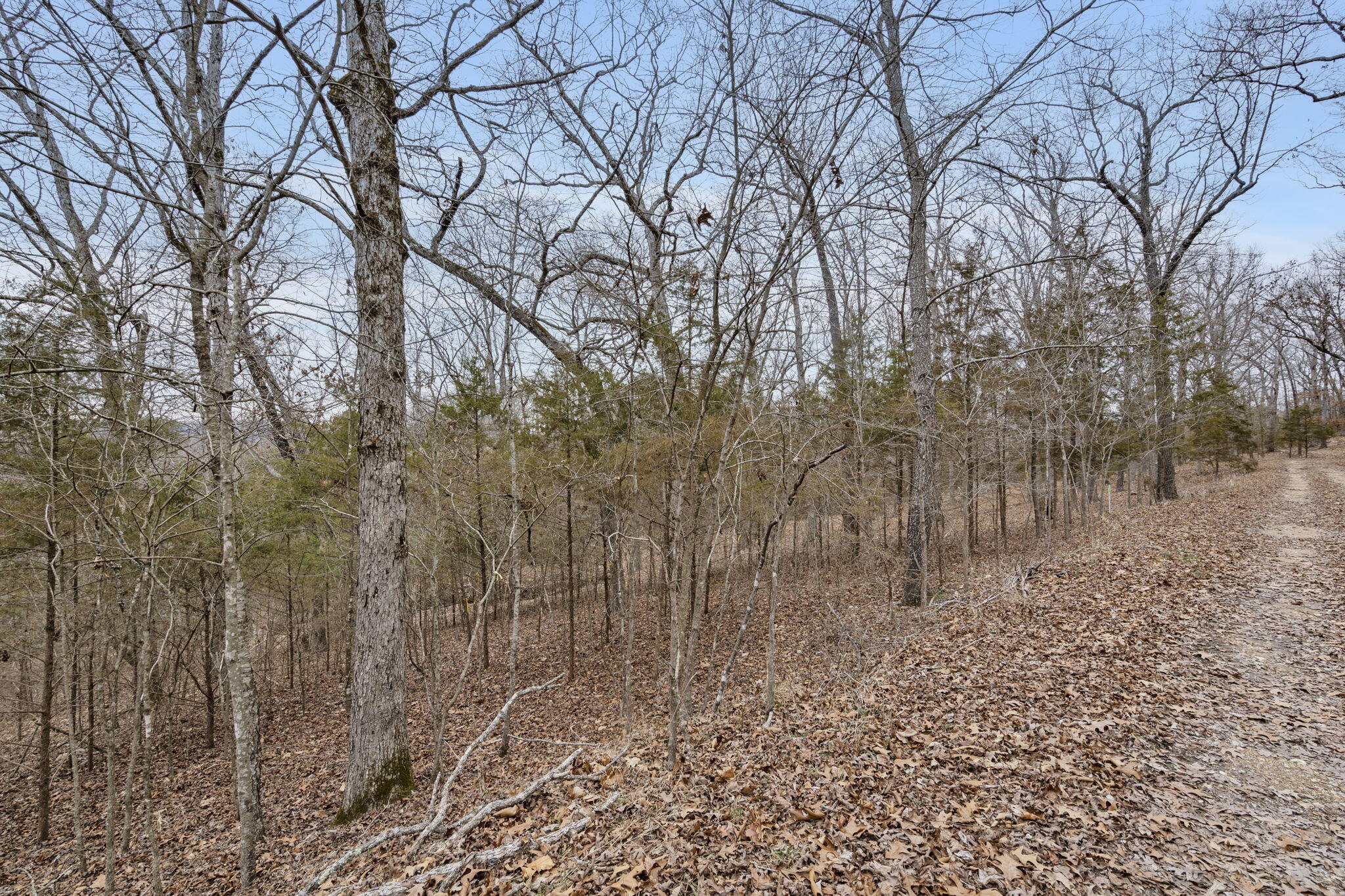 Lot 7 Eagle Bluff Estates Property Photo 6