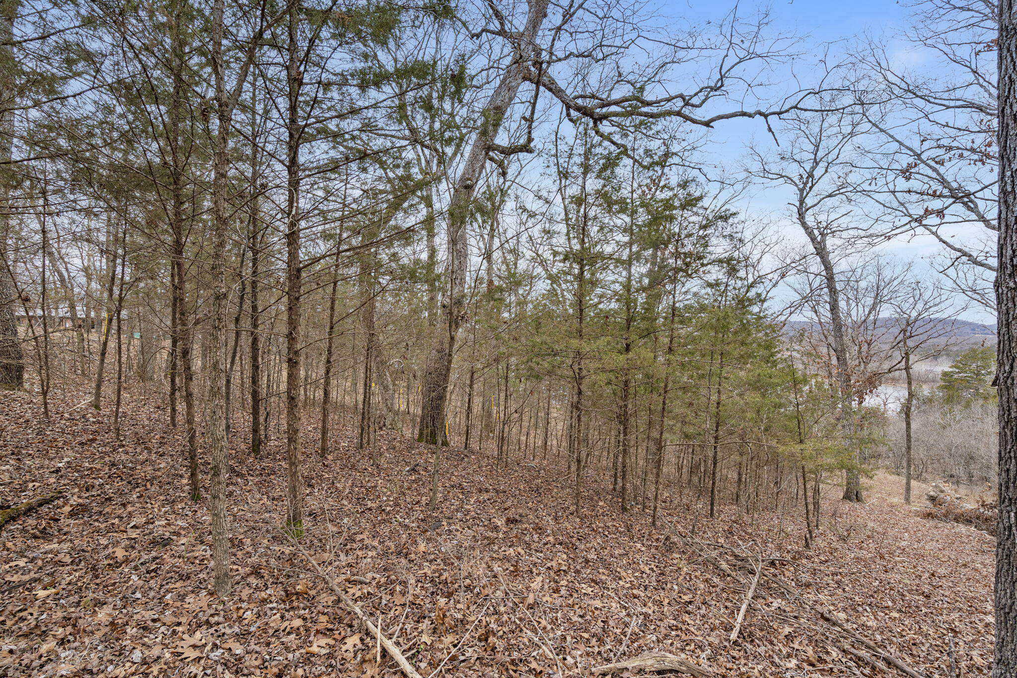 Lot 7 Eagle Bluff Estates Property Photo 7