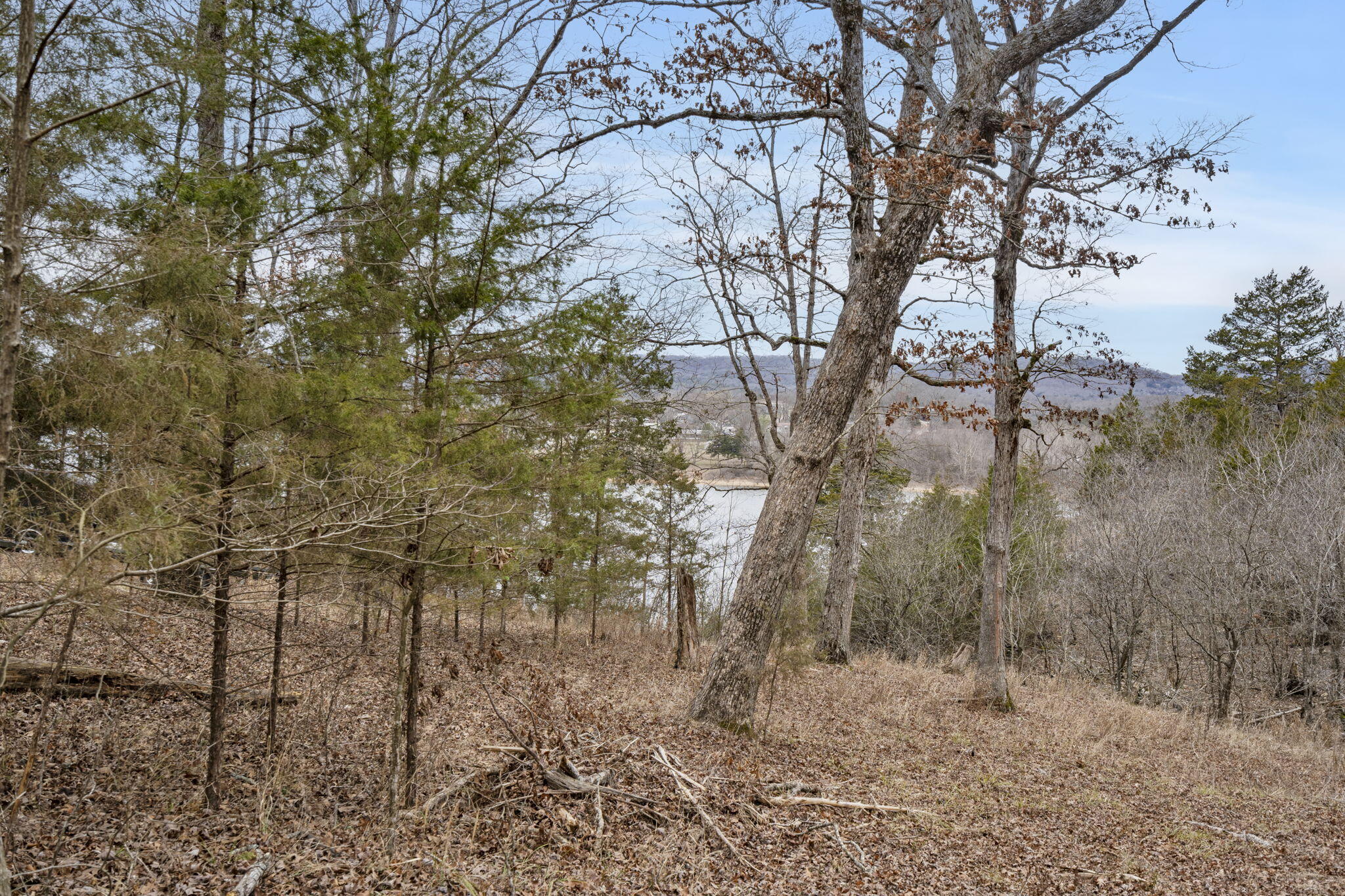 Lot 7 Eagle Bluff Estates Property Photo 8