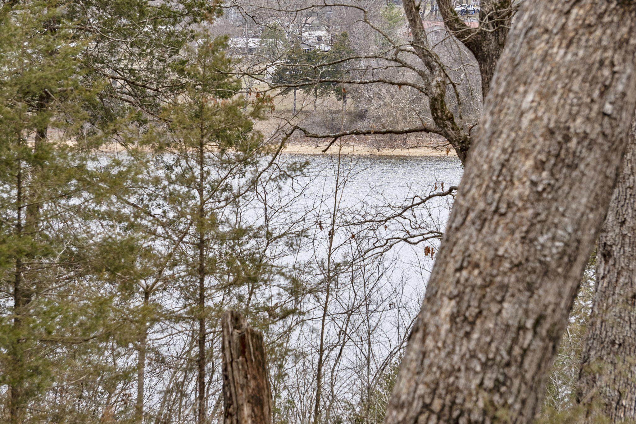 Lot 7 Eagle Bluff Estates Property Photo 9