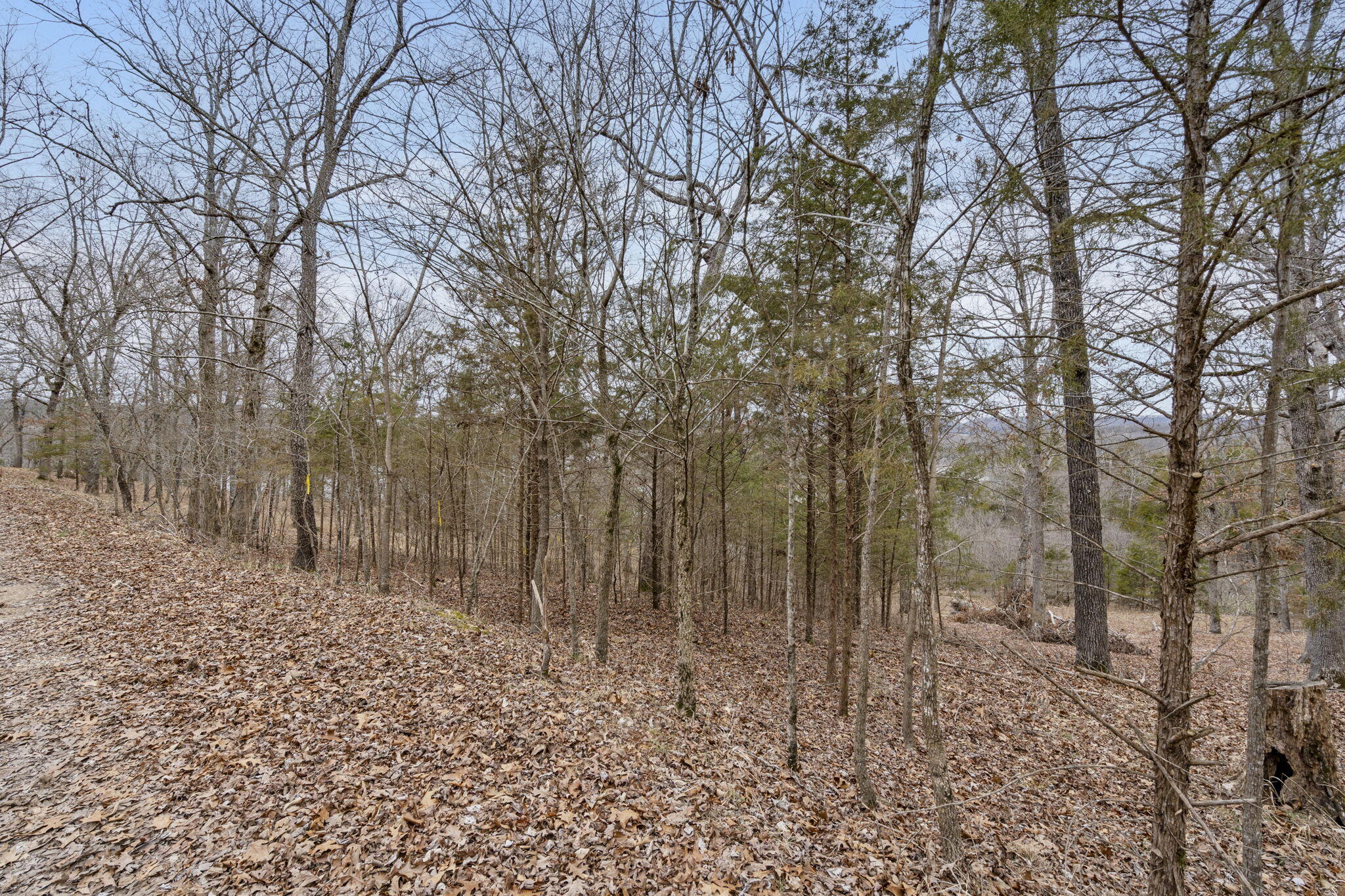 Lot 7 Eagle Bluff Estates Property Photo 10