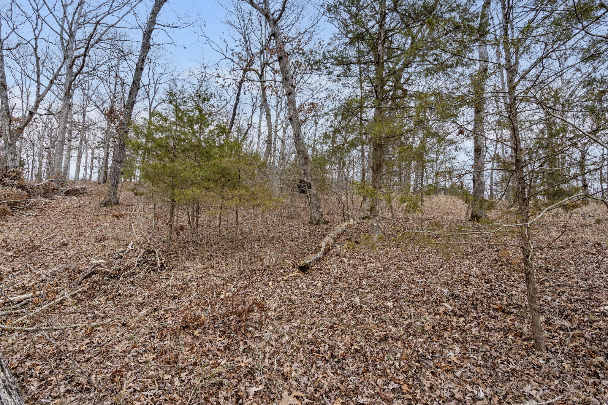 Lot 7 Eagle Bluff Estates Property Photo 11